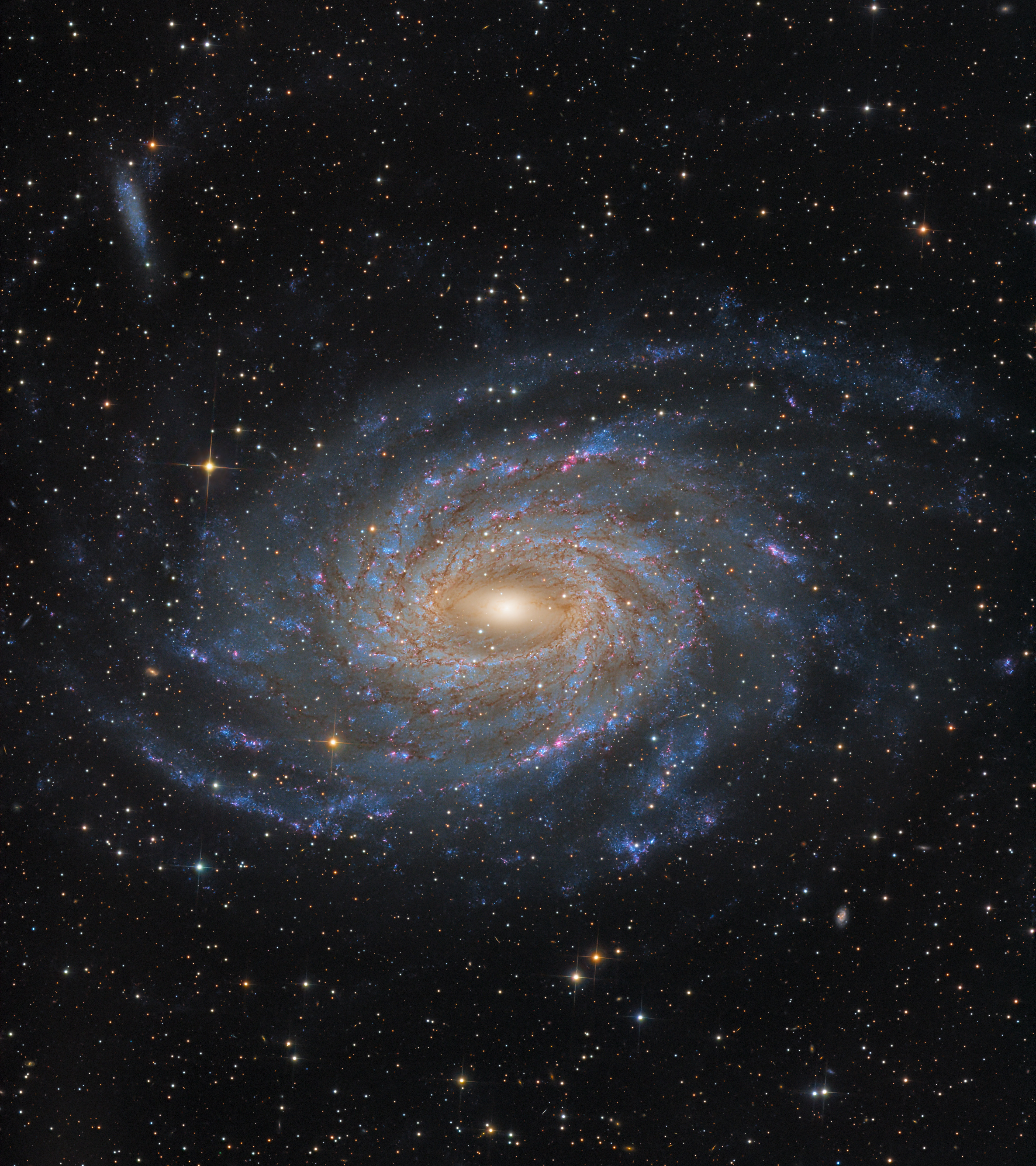 Exploring the majestic Spiral Galaxy NGC 6744