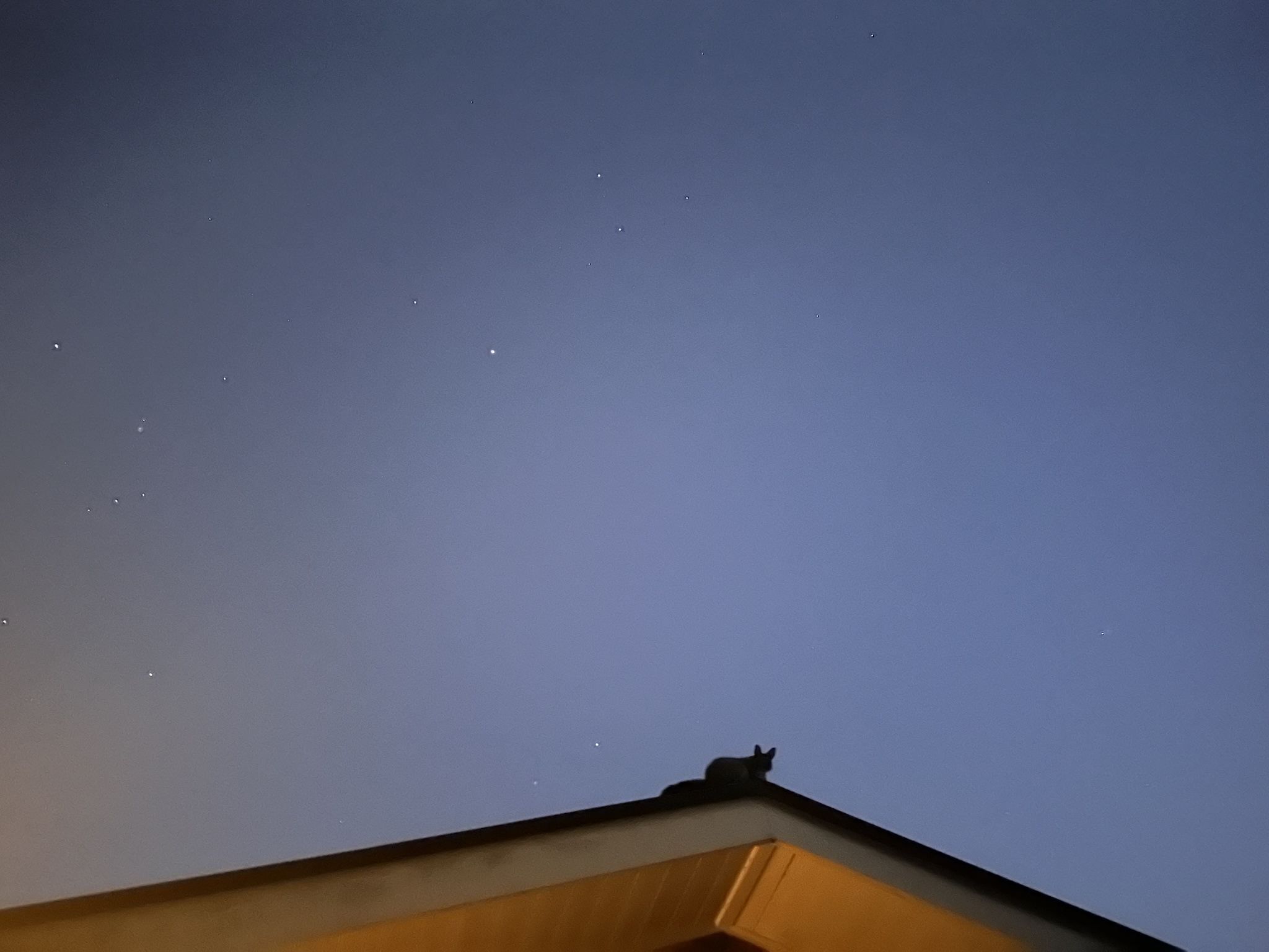 Wait, is that Santa I hear on the roof?