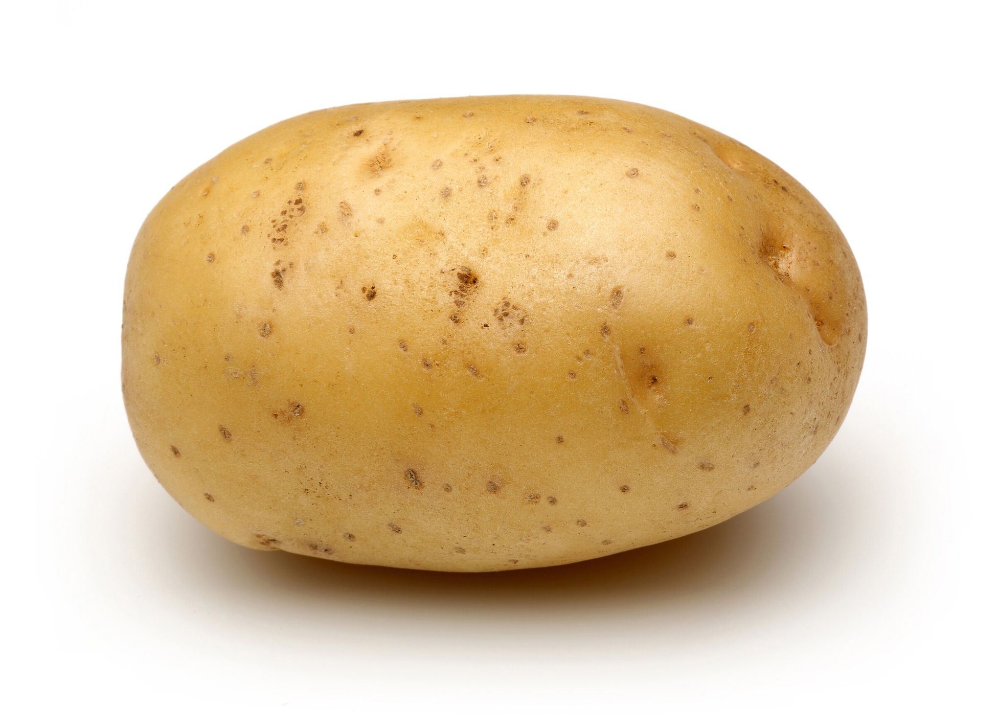 There's a wild rumor going around that I've been banned along with others. But hey, here's a potato! Feel free to boil it, mash it, or toss it in a stew.