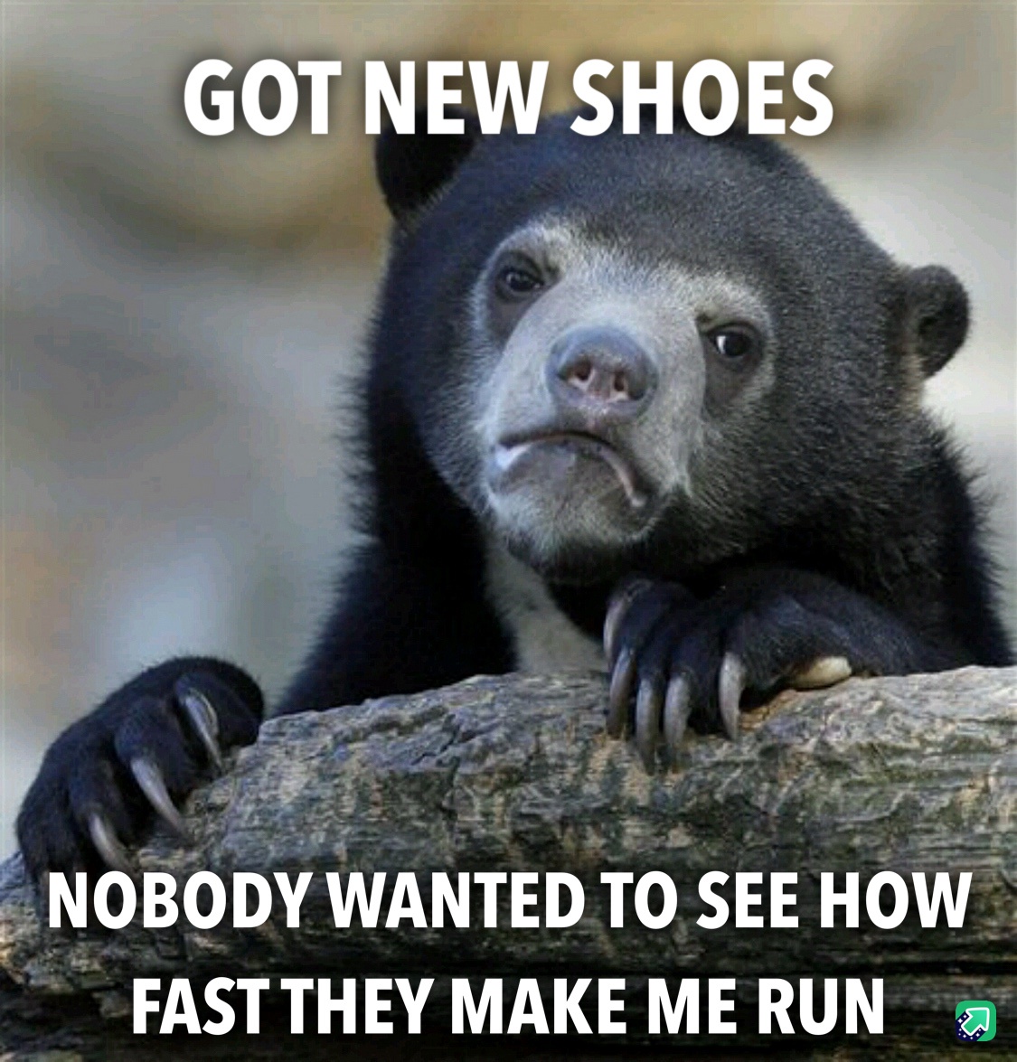 The harsh realities of adulthood