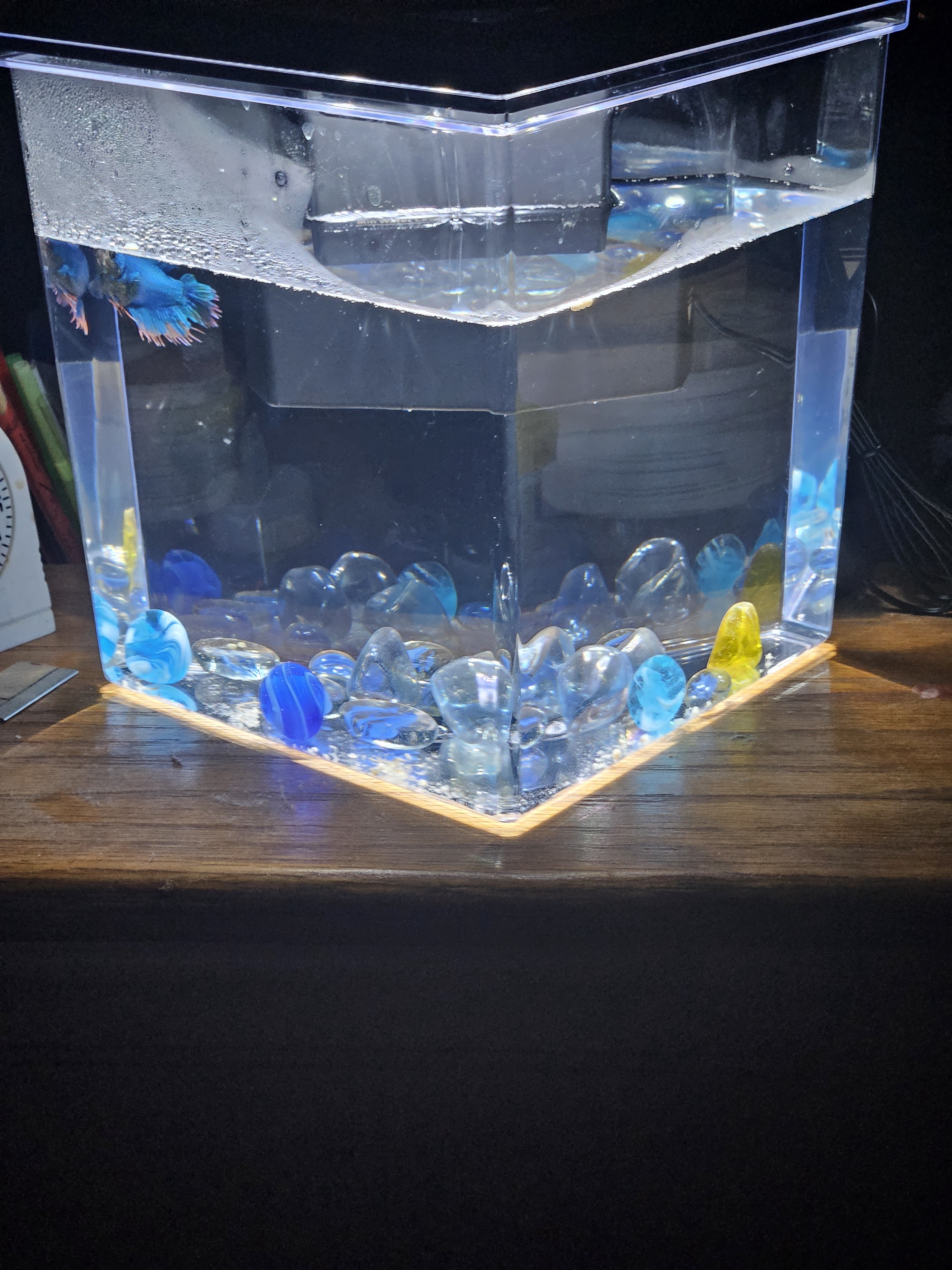 Ires just got an upgrade with a new tank!