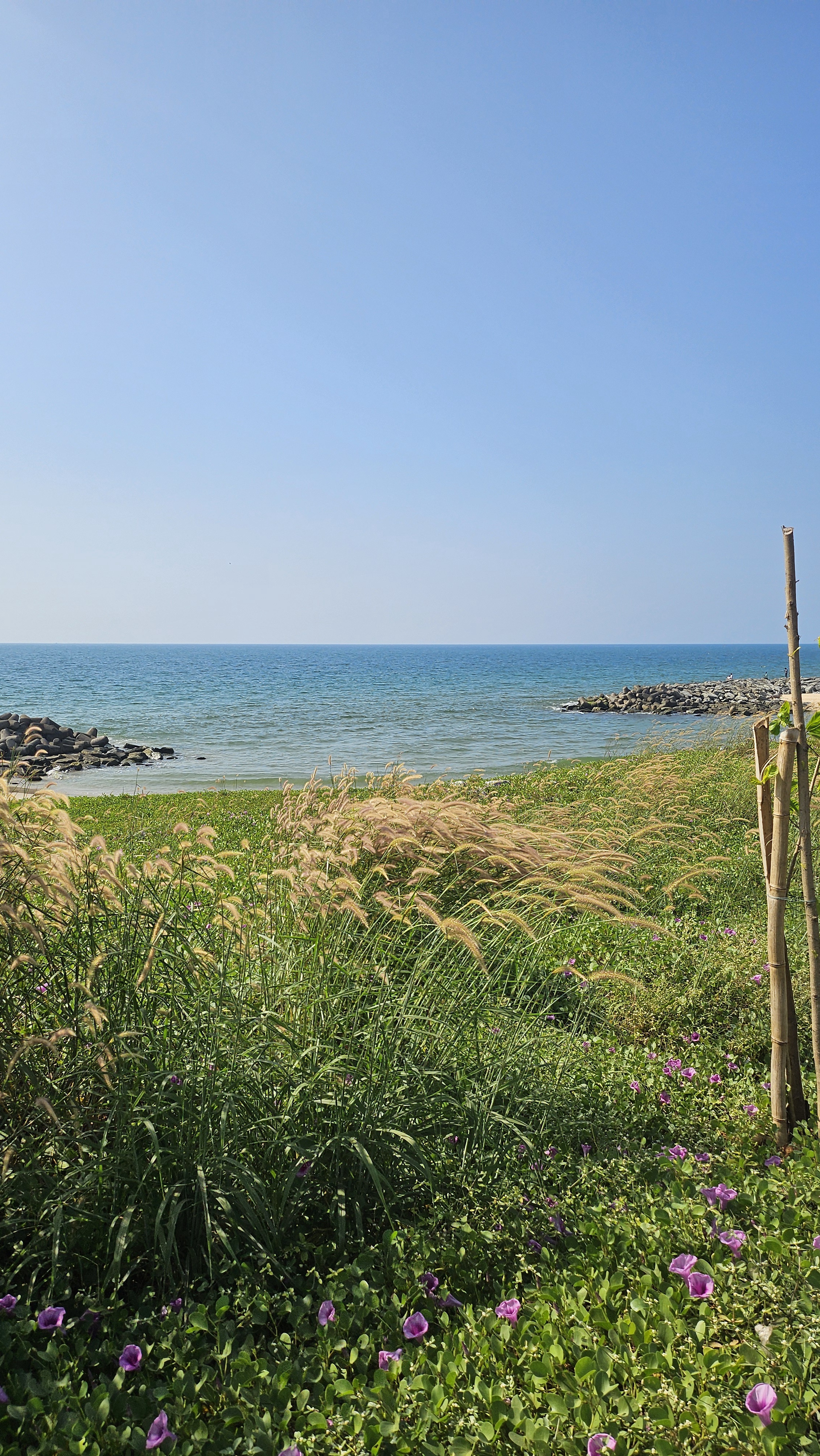 Relax and Unwind with These Calming Waves