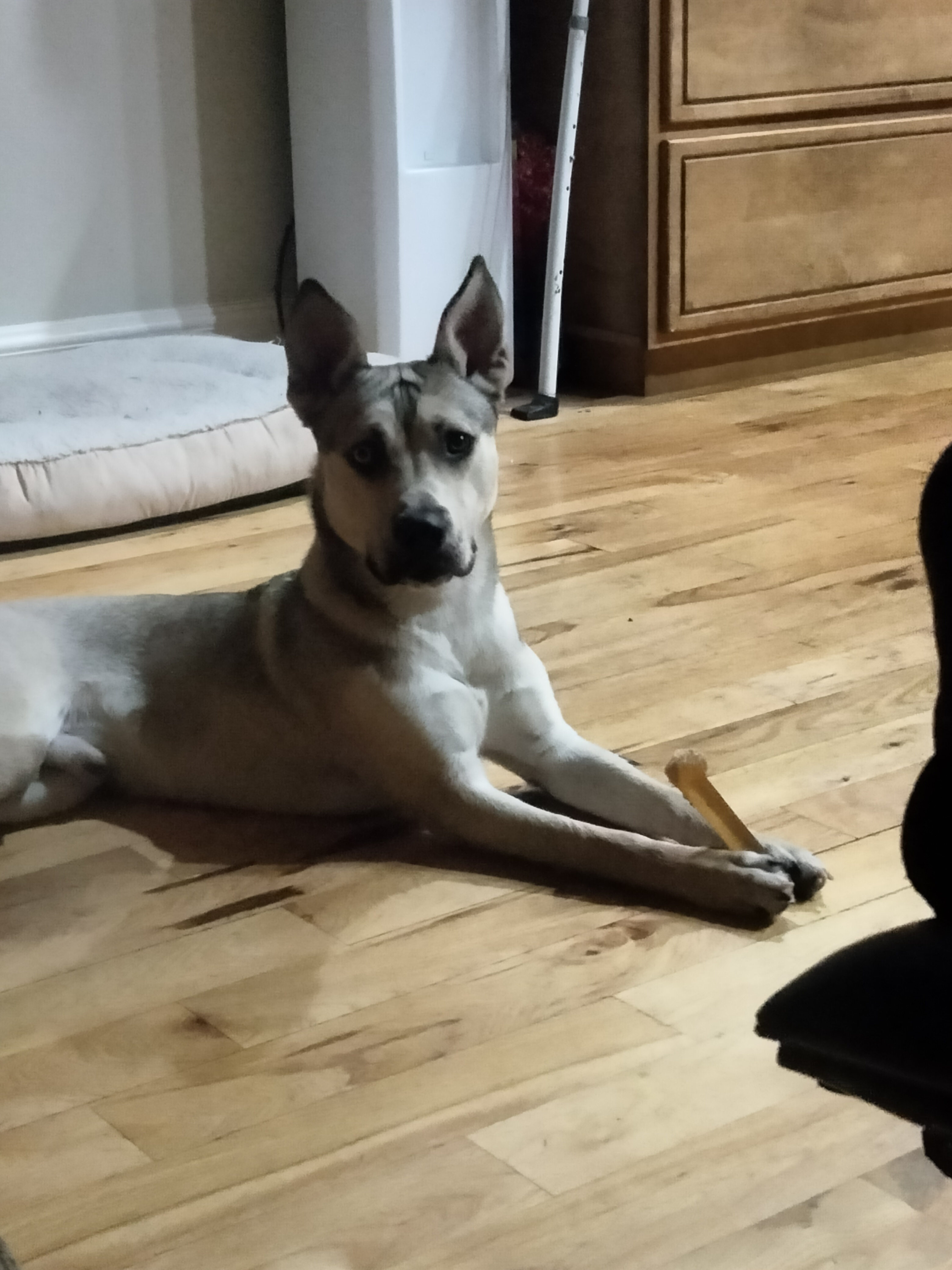 Who's the best boy ever?