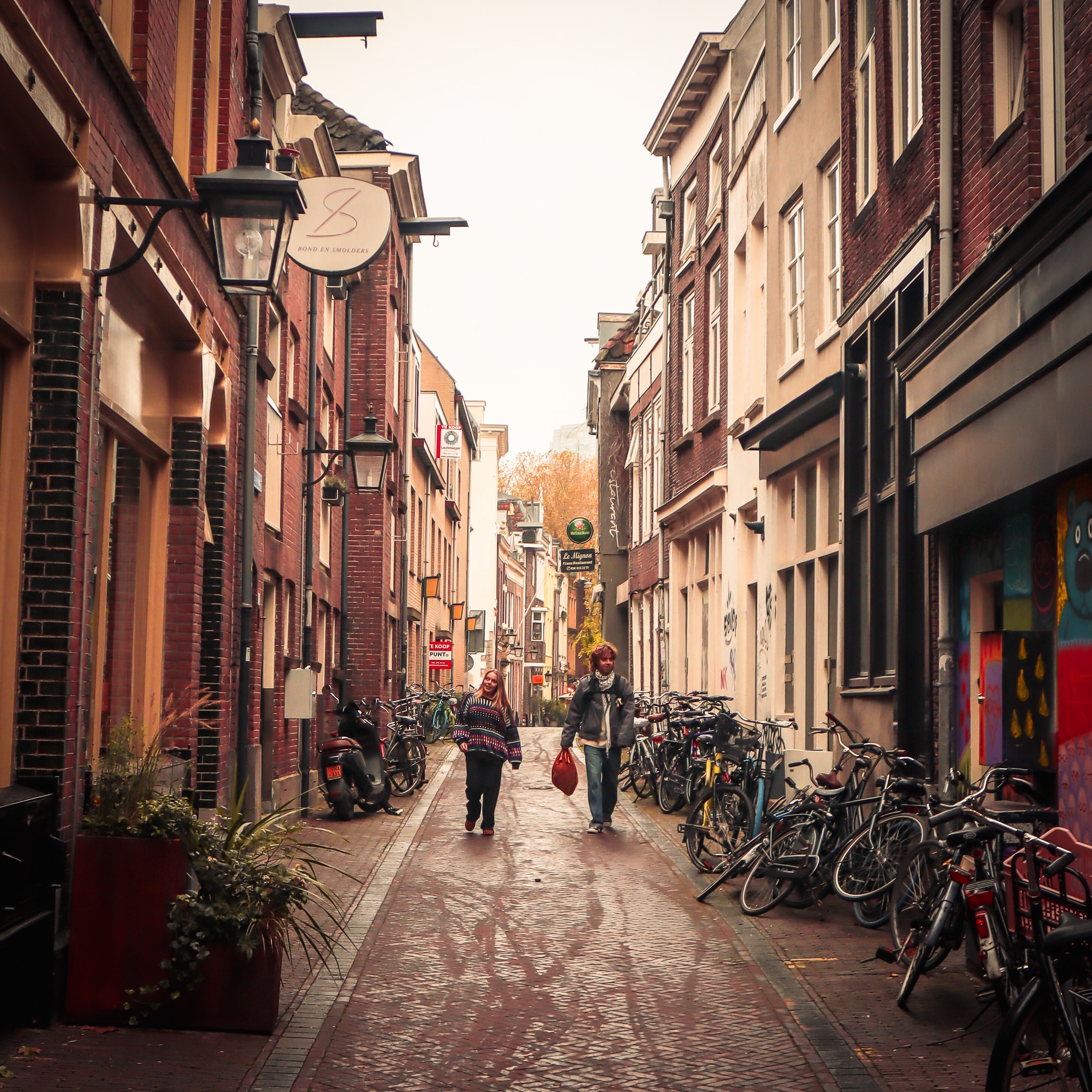 Capturing the beauty of Autumn in Utrecht, 2024