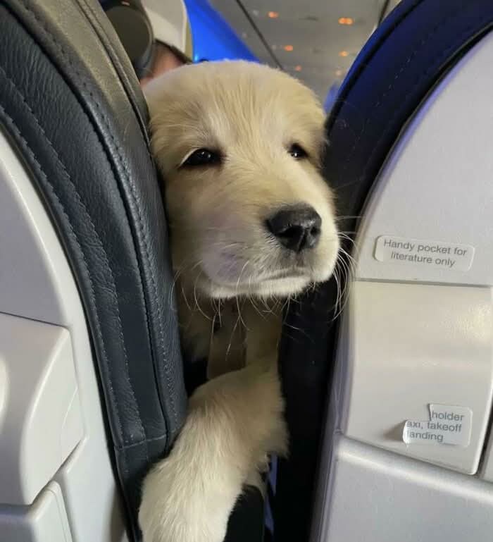 Need a hand with that bag of peanuts?