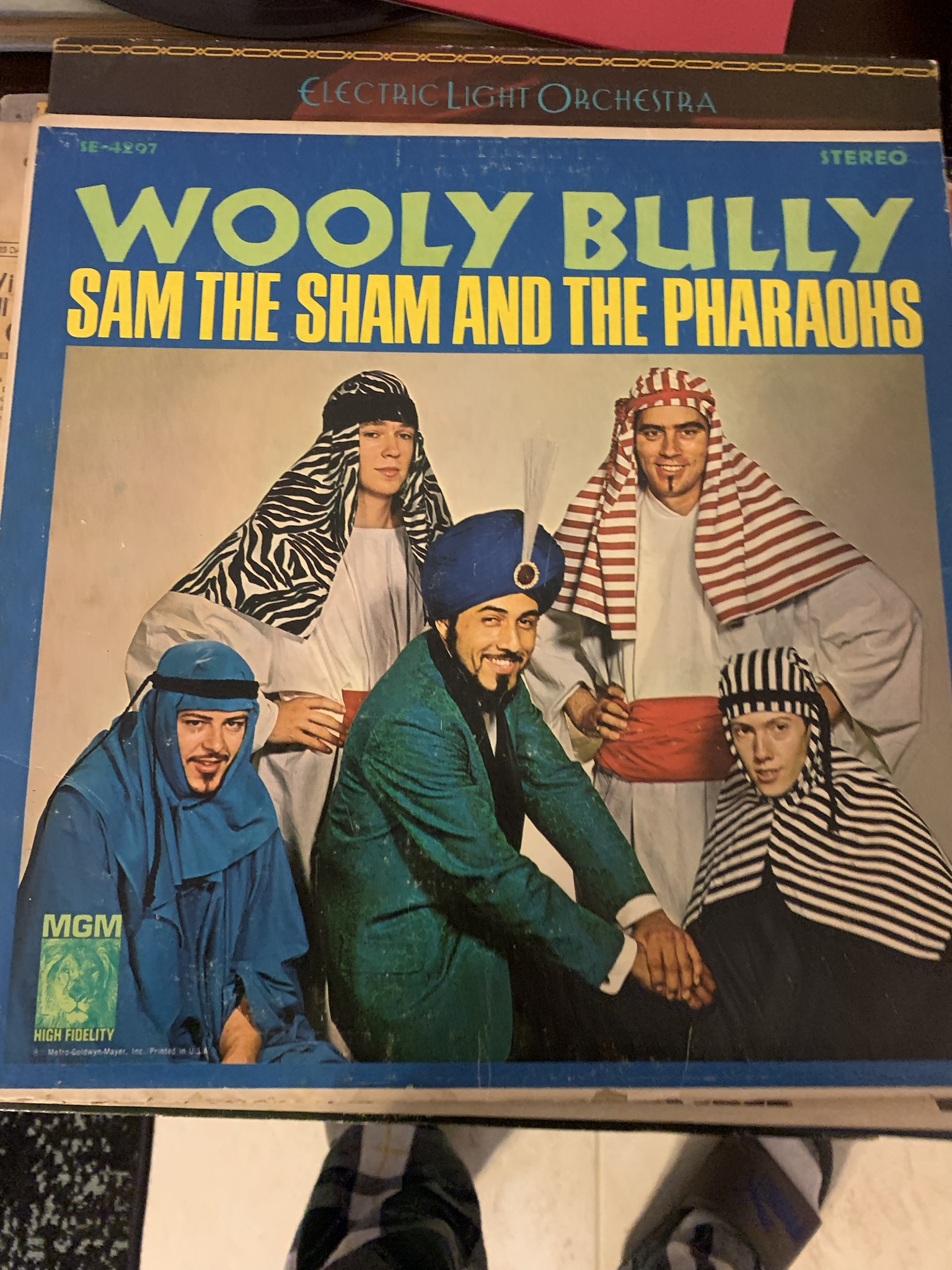 The Catchy Classic: Wooly Bully