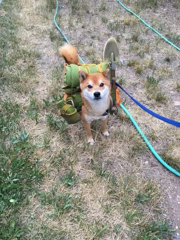 Embrace the Spirit of Adventure