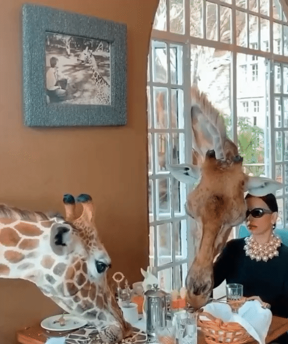 Lunchtime vibes at Imgur: a daily delight