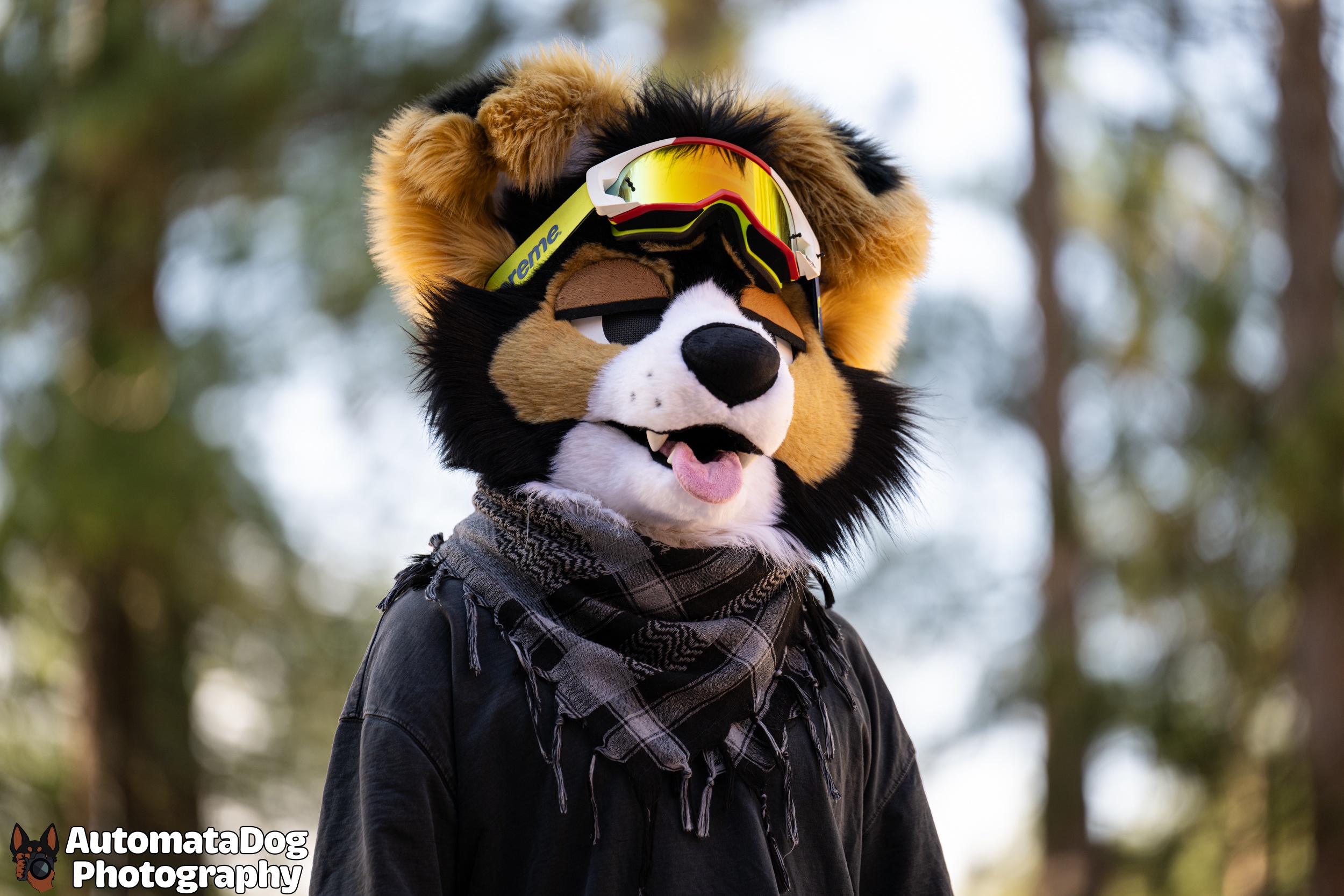 A Daily Snapshot from a Furry Photographer: Day 414