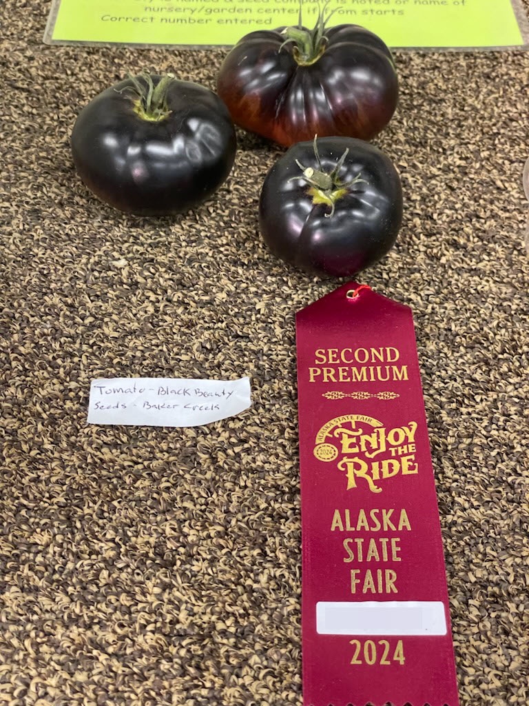 It's My Cake Day! Check Out My Award-Winning Tomatoes!