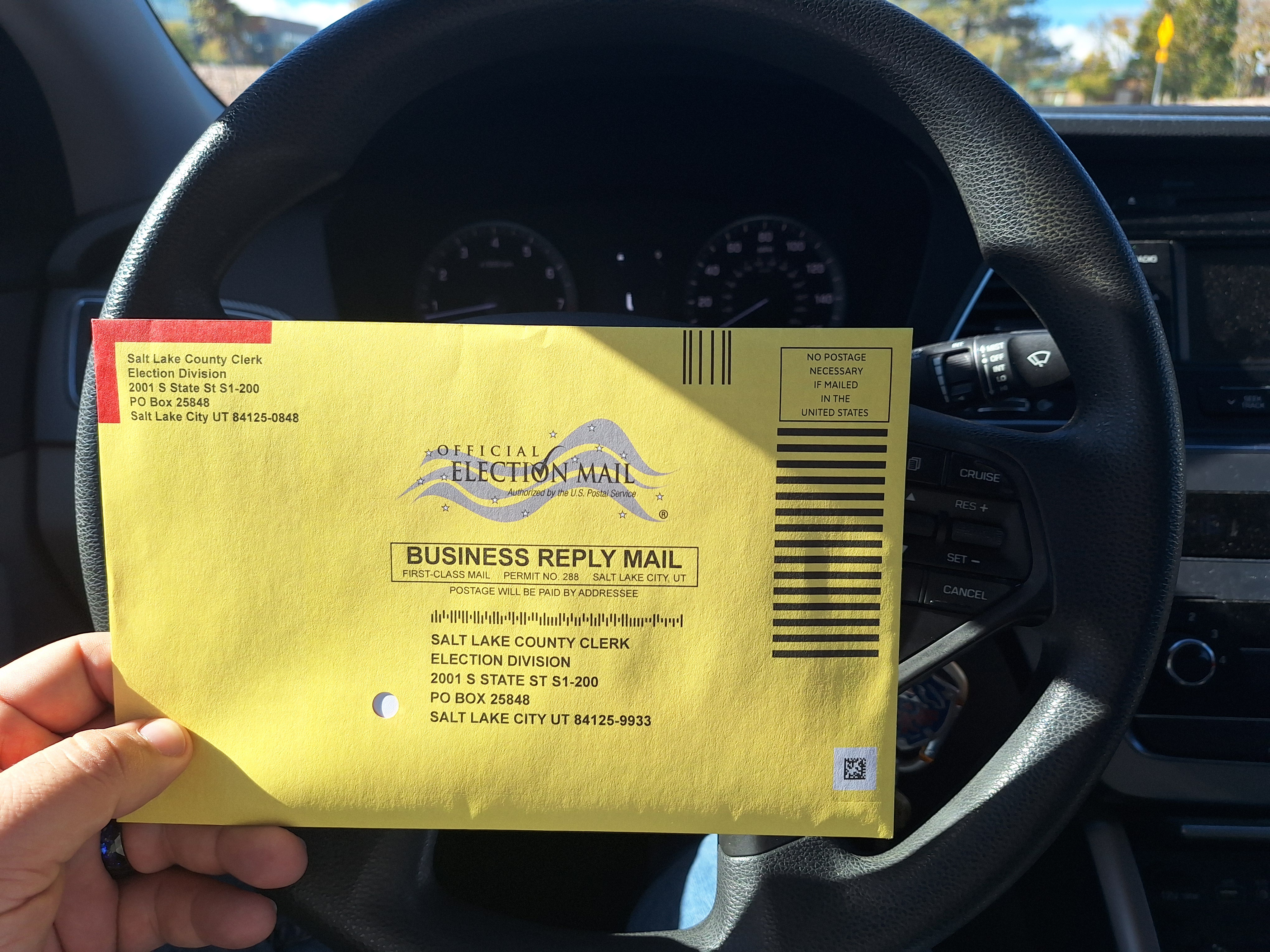 Just Cast My Vote: All Blue, Let's Do This!