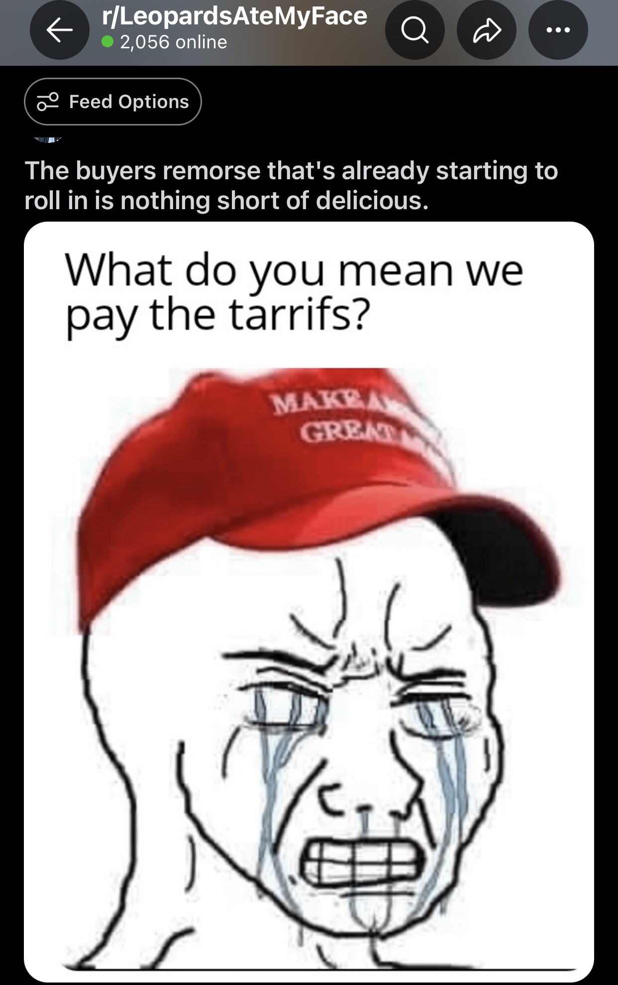 November 9th, 2024: A Day for Laughter Amidst the Chaos