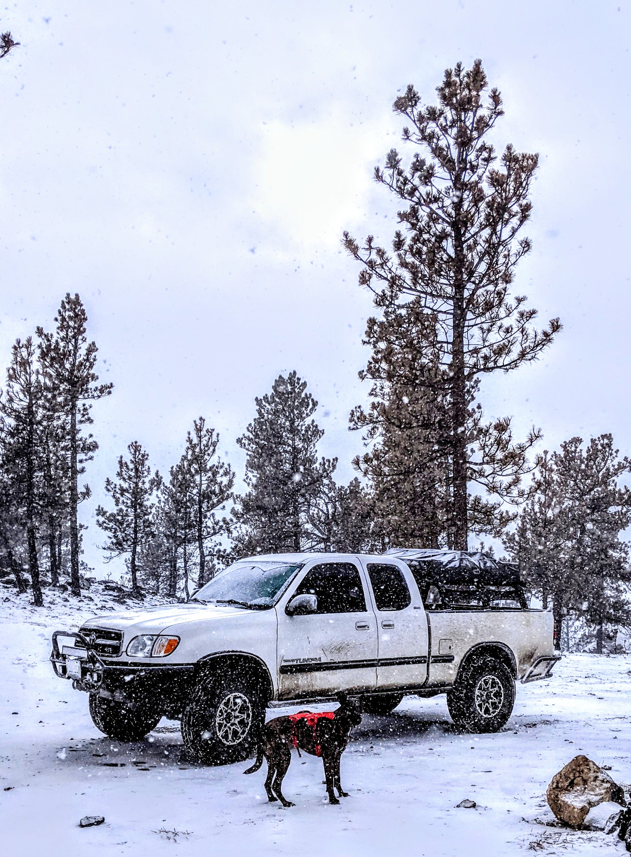 Skateboard Enthusiast: My Other Ride