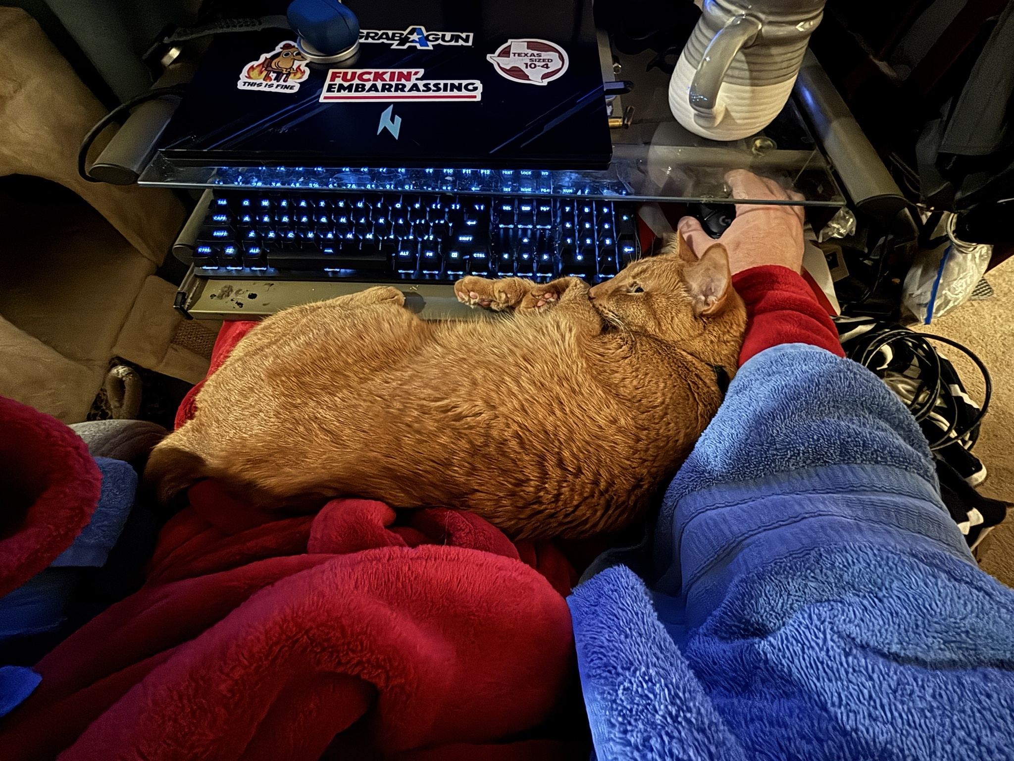 Boss, I can't make it in today, here's why...