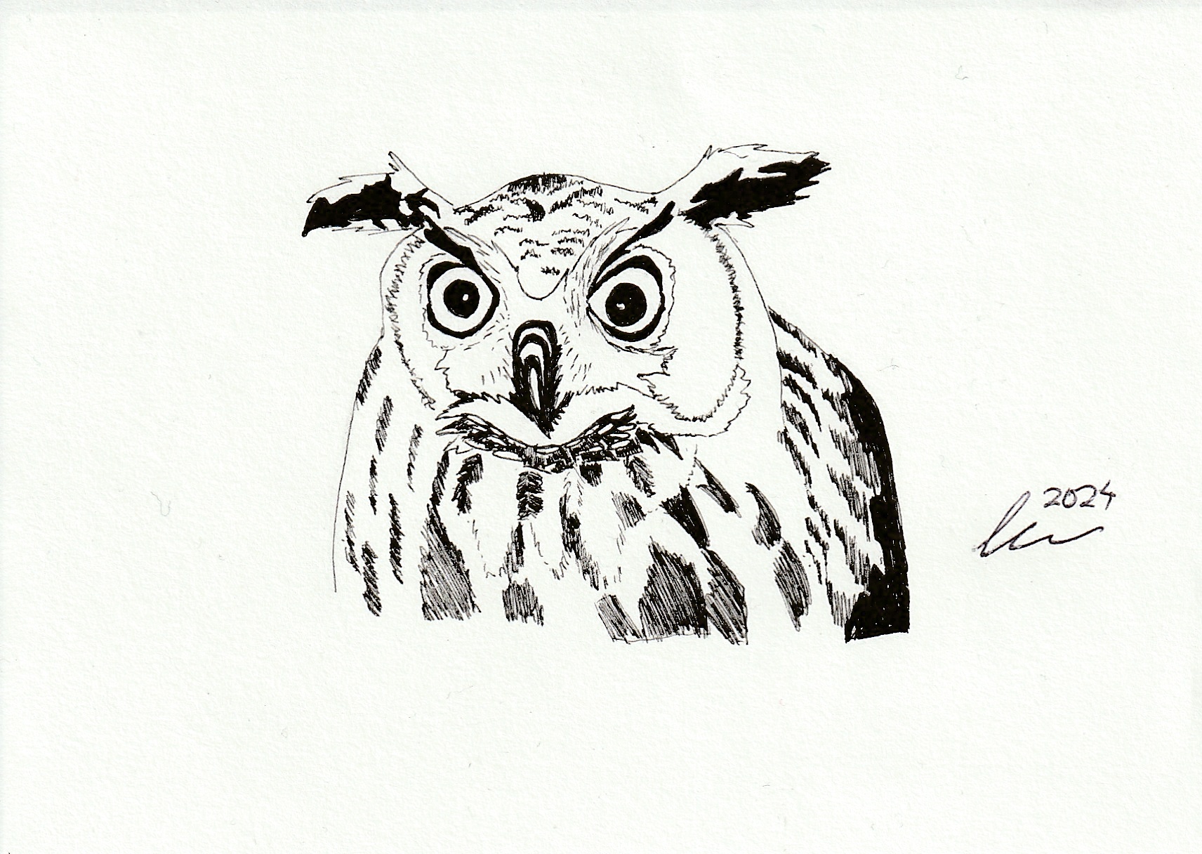 The Night Owl's Call