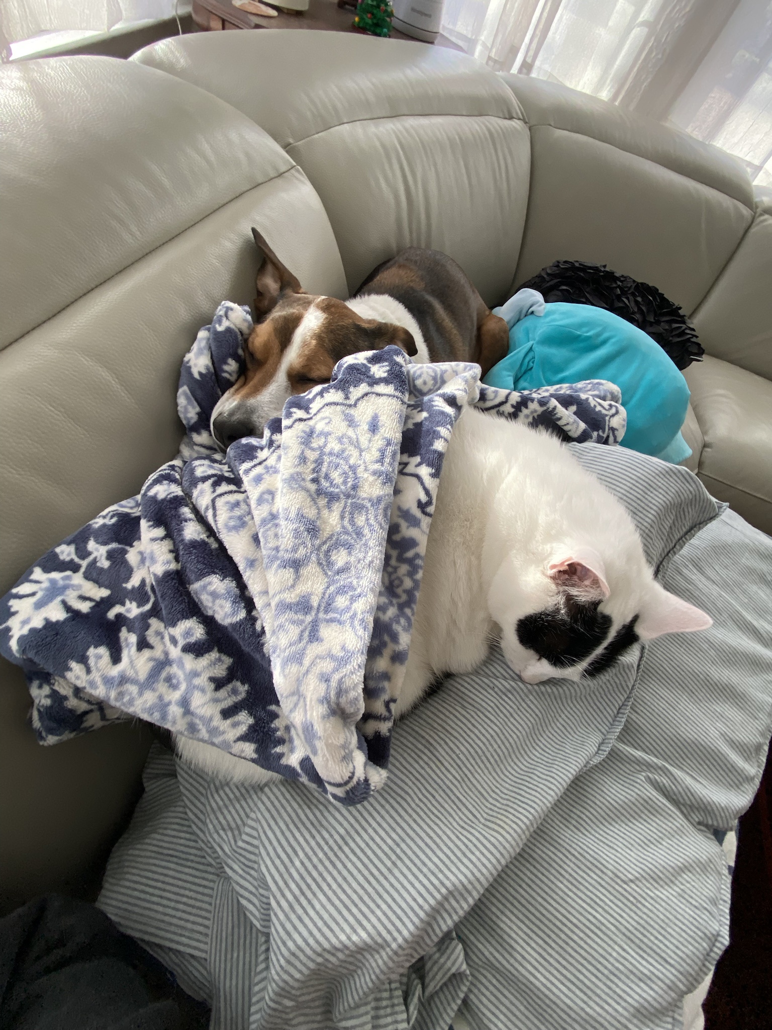 Embrace the Cozy Vibes: Happy Cuddle Puddle Sunday!