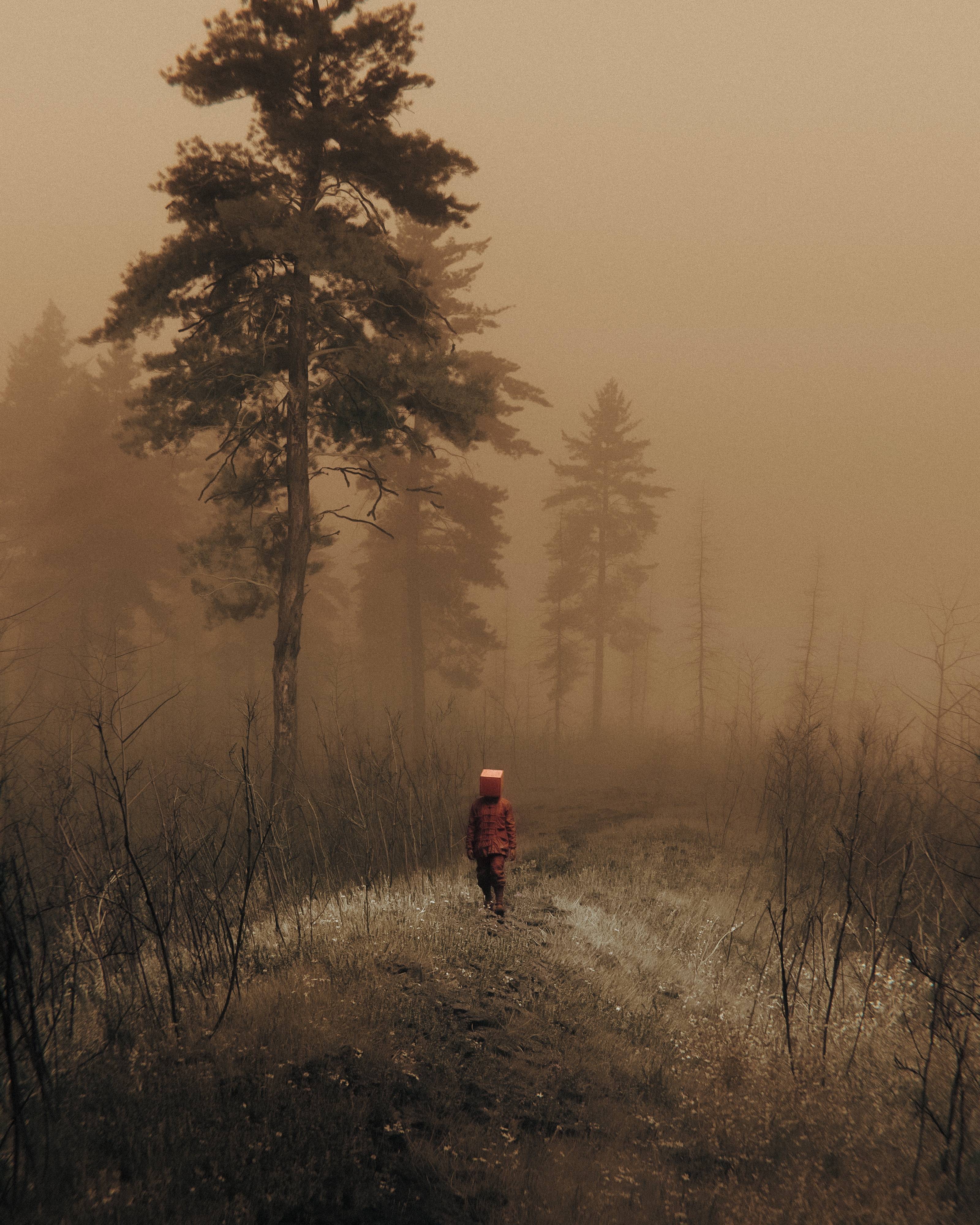 A Mysterious Impression by Huleeb
