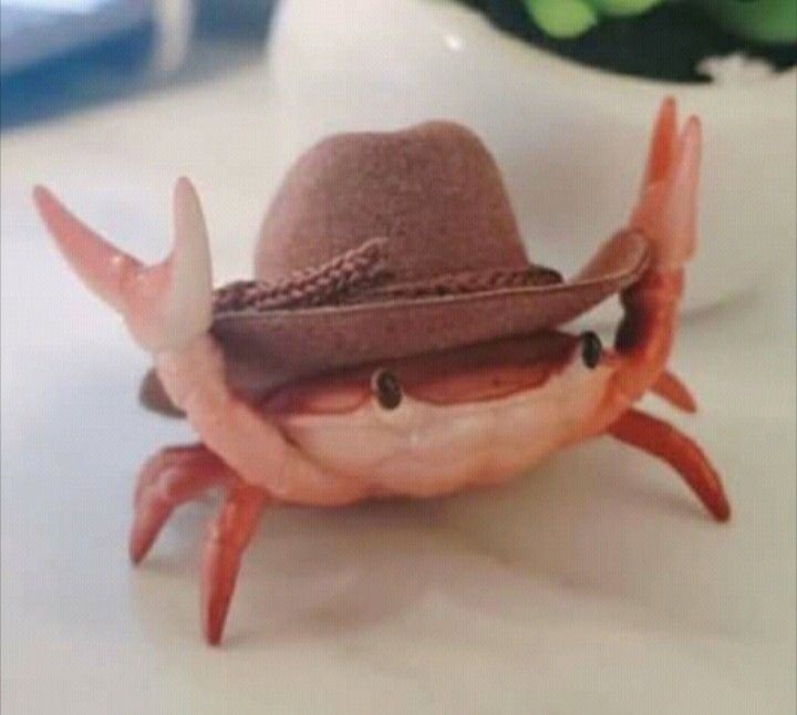 A Crab Rocking a Cowboy Hat: The Ultimate Fashion Statement