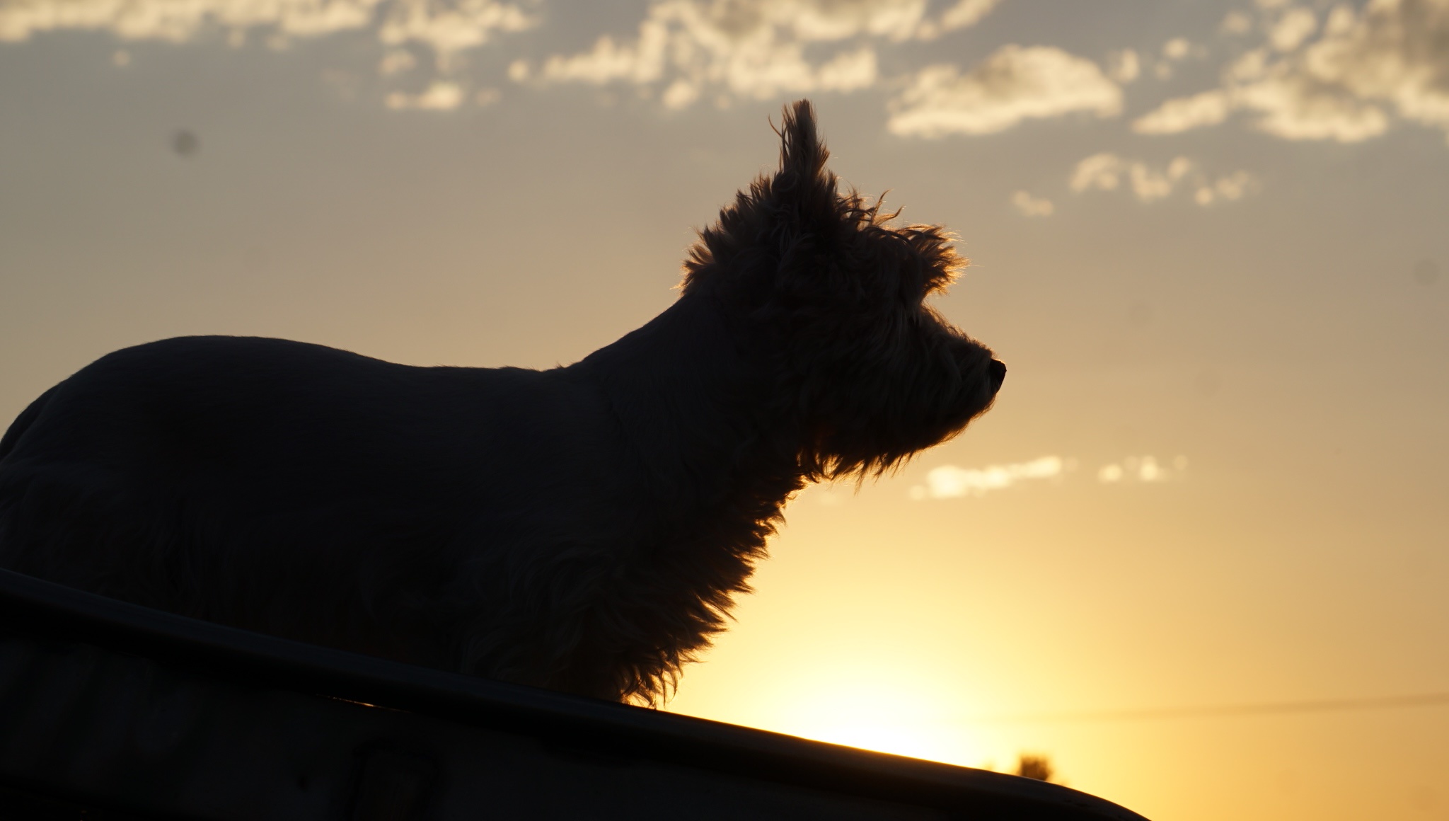 Silhouette Magic: Lil at Sundown on the Slide