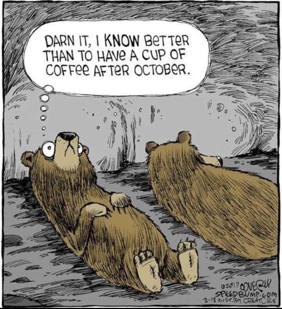 Relatable Bear: When You Just Get It