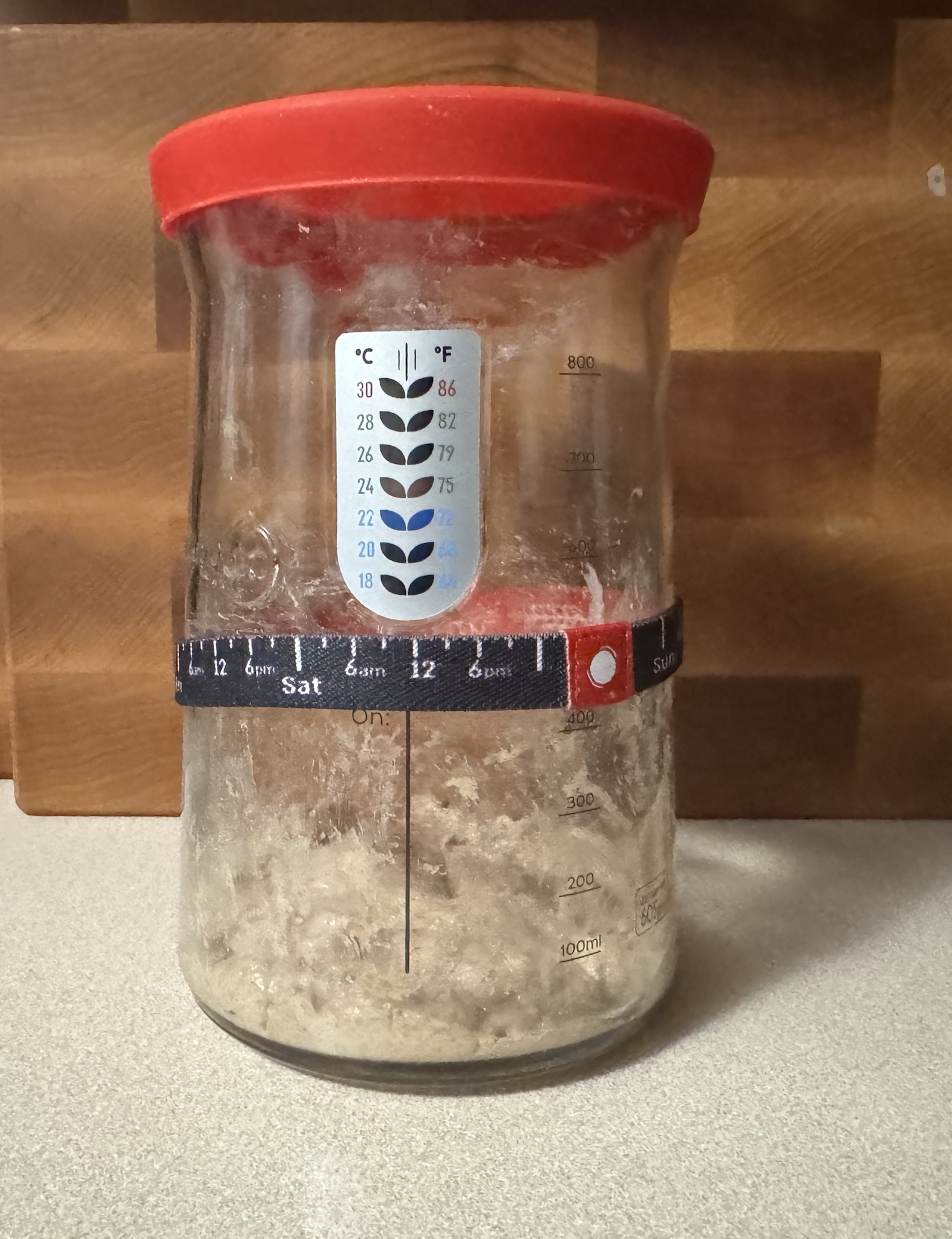 Starting from scratch: Day 1 of my sourdough starter journey!