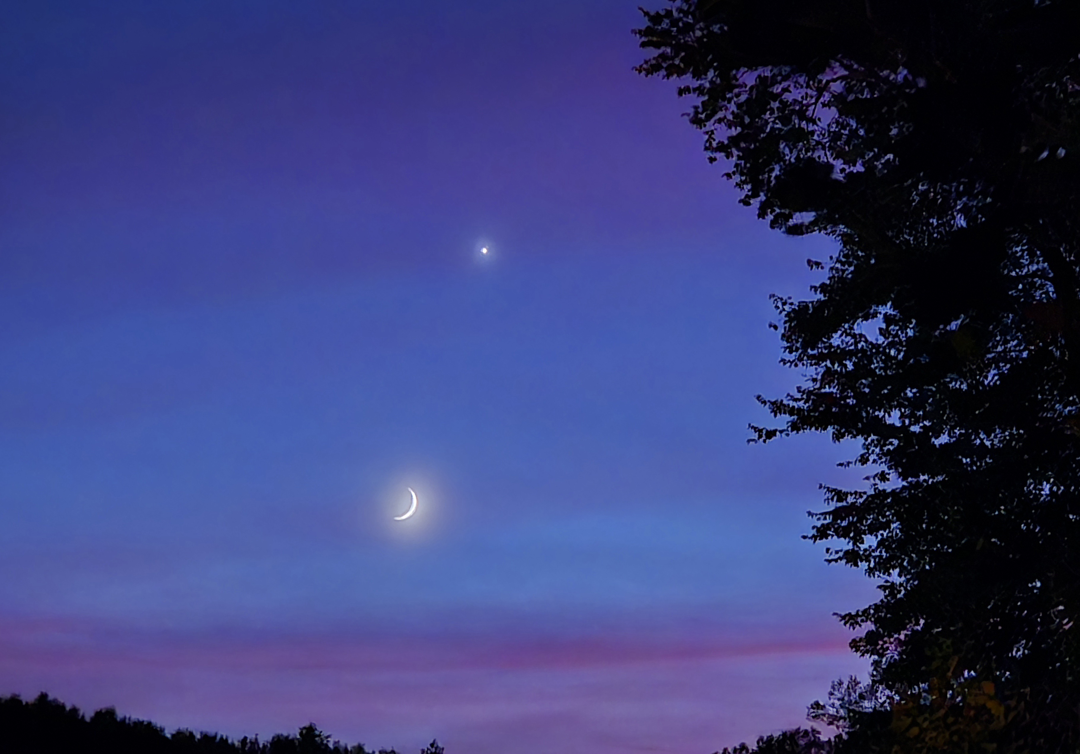 The Enigmatic Twilight
