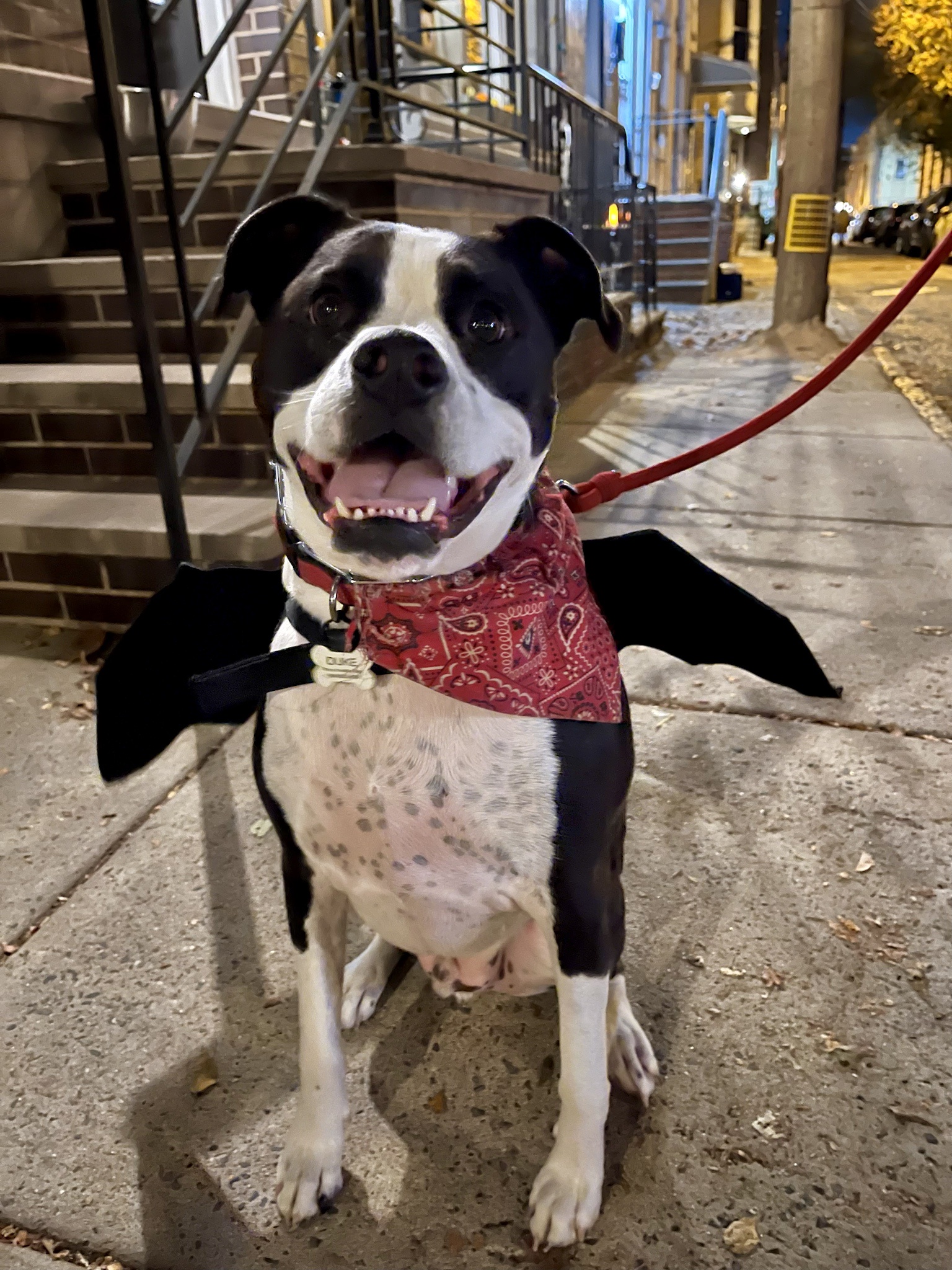 Duke's Spooktacular Halloween Celebration!