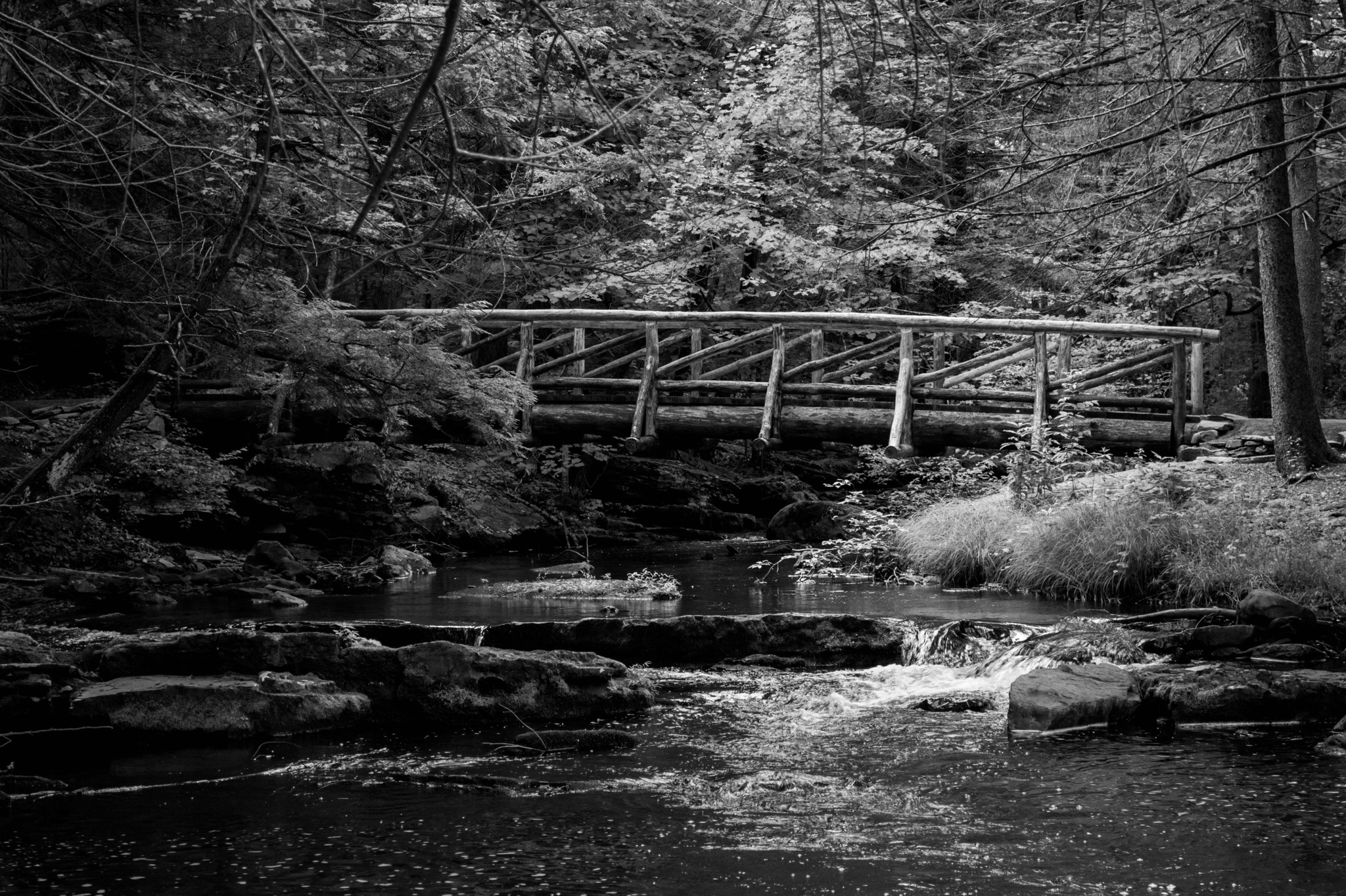 Reflecting on My Days as a Photographer