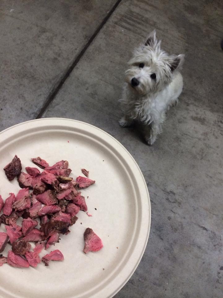 A Special Filet for Her: Celebrating LB's Life