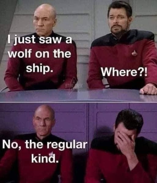 Just LOLing Over Here!