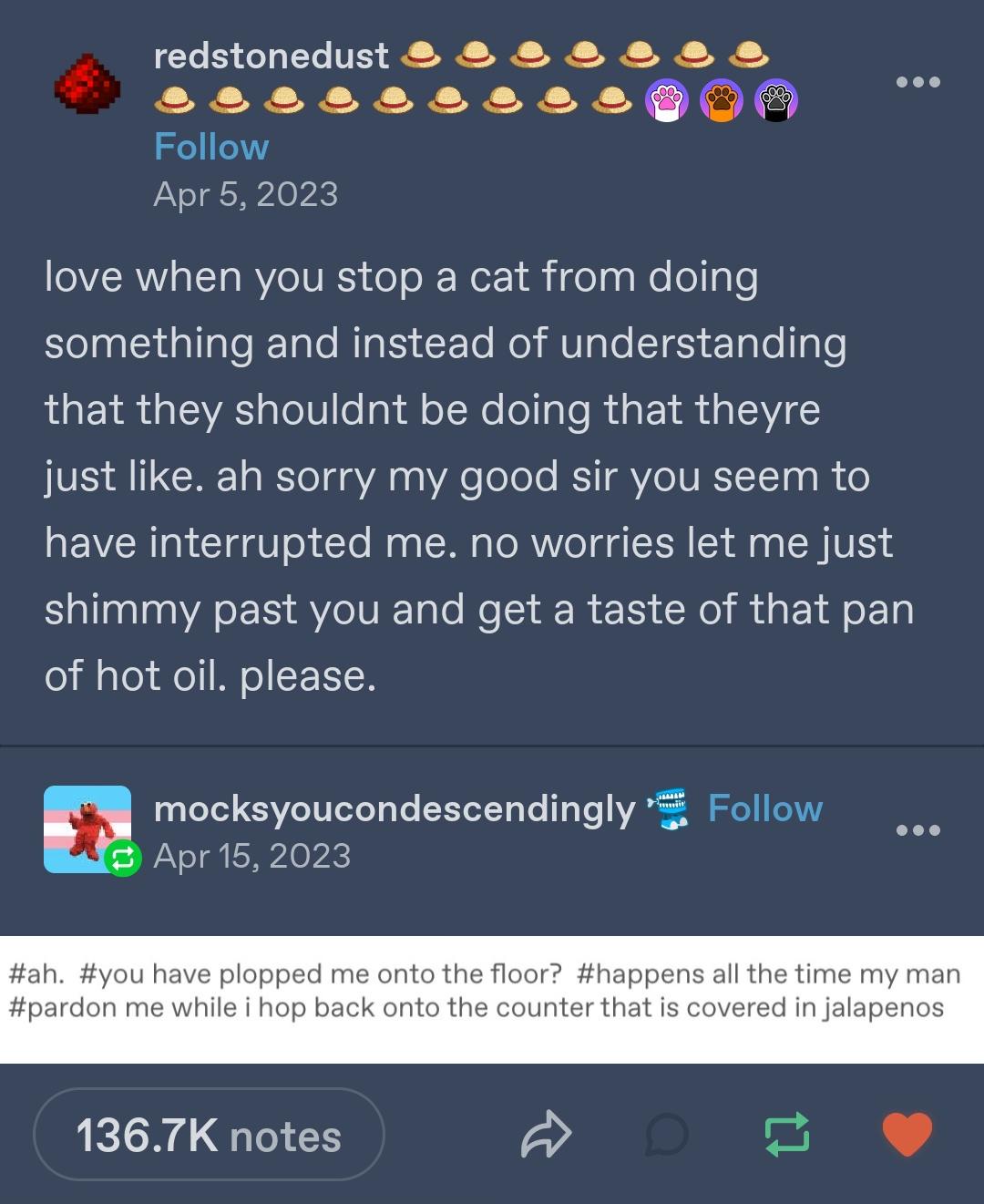 Why Cats Just Don’t Get Discouraged: A Feline Perspective