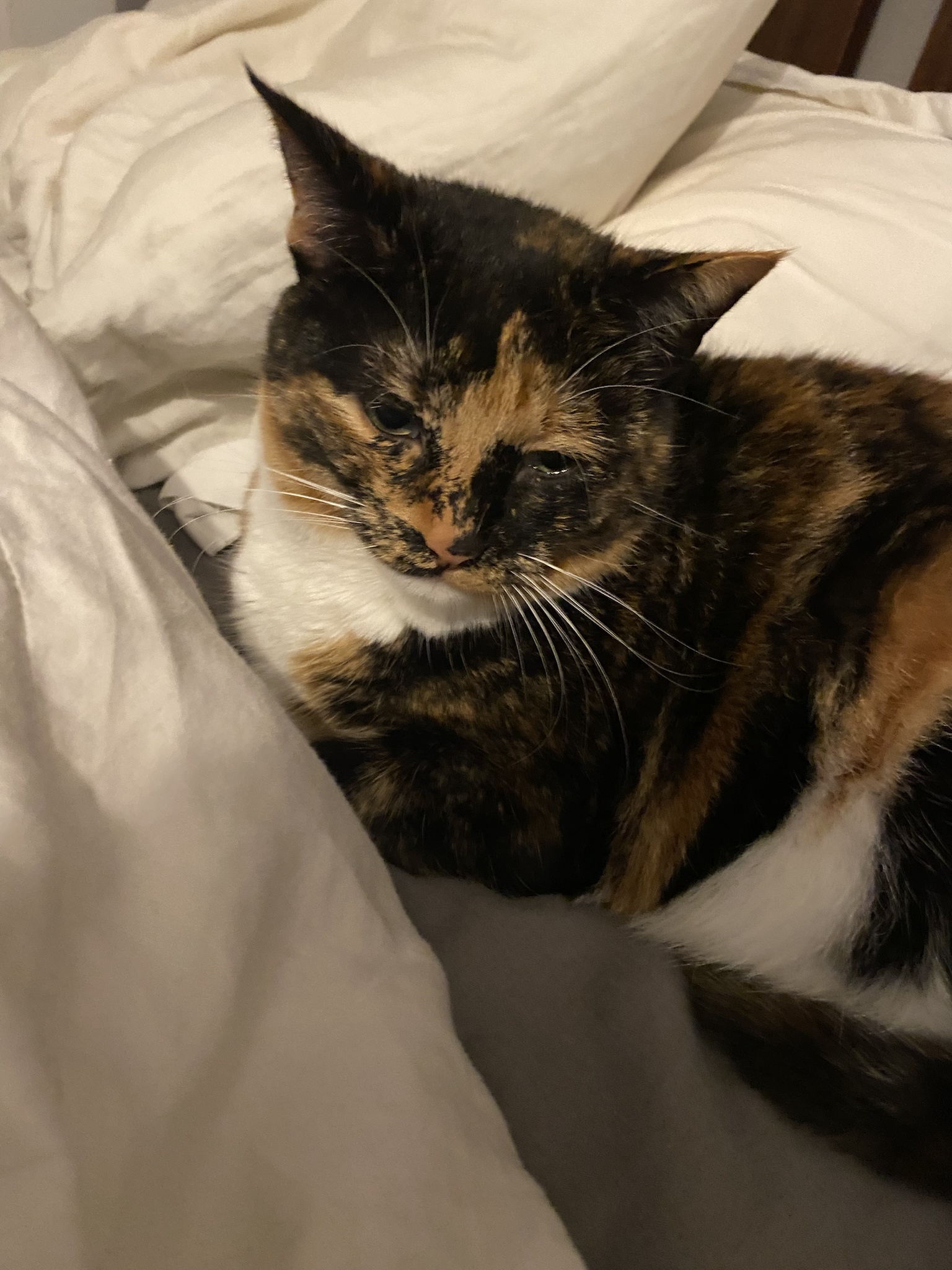 Crumble’s daily dose of cuteness!