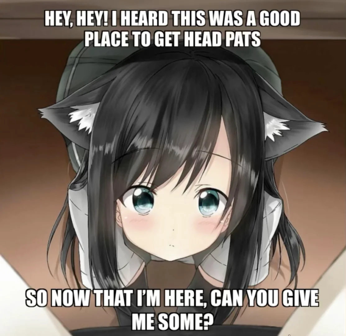 Urgent Alert: Catgirl Desperately Needs Headpats Right Now!