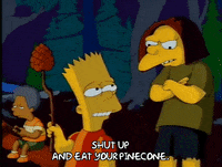 It's My Cake Day! Go Team Pinecone!