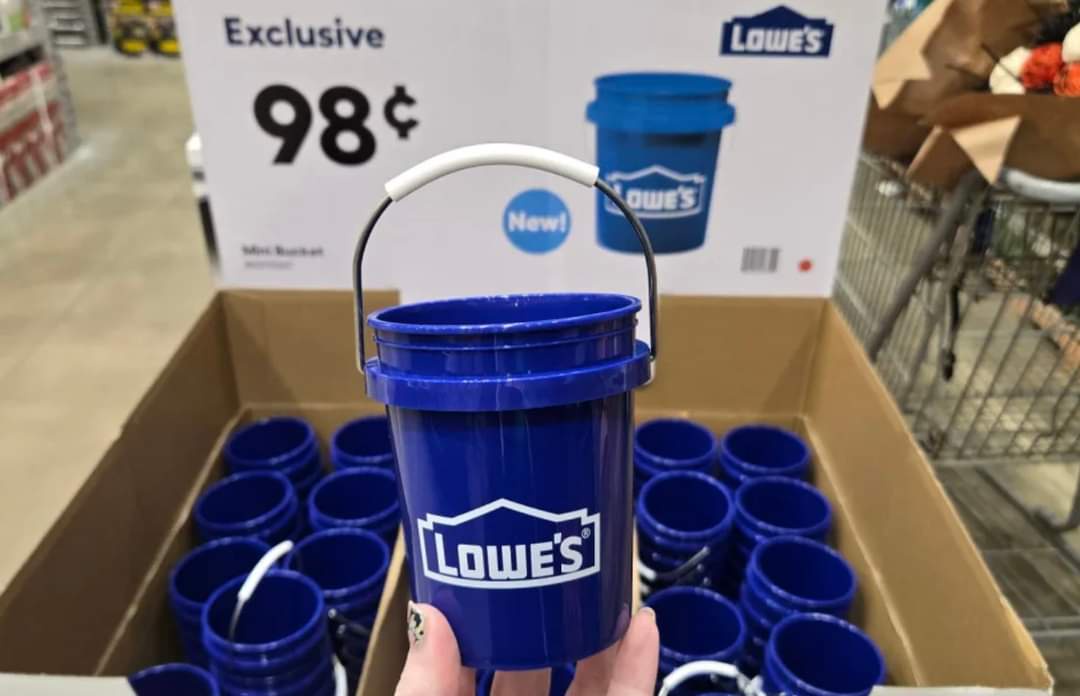 Is This Home Improvement Designed for Ants?