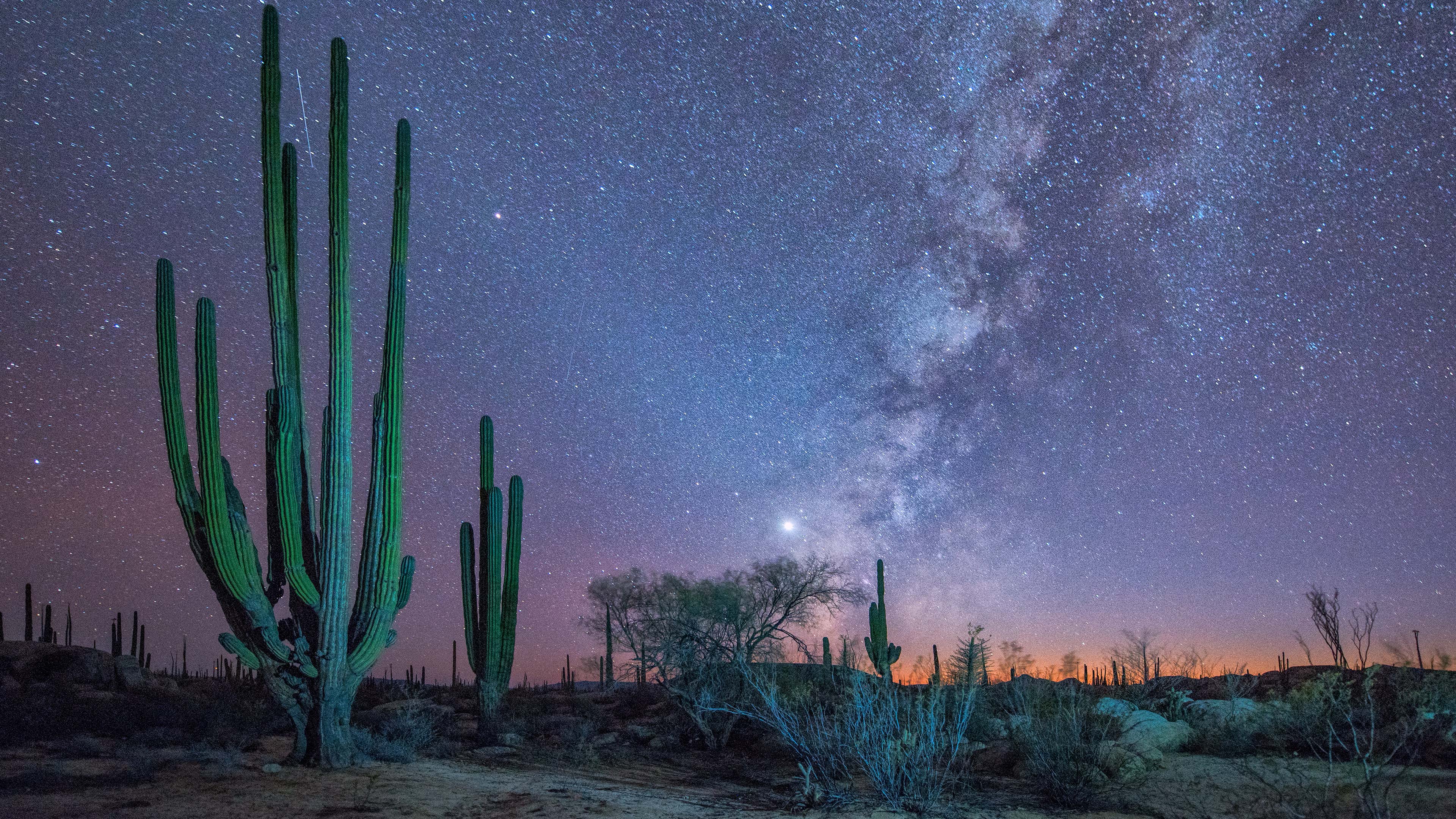 Stargazing Adventures in Baja