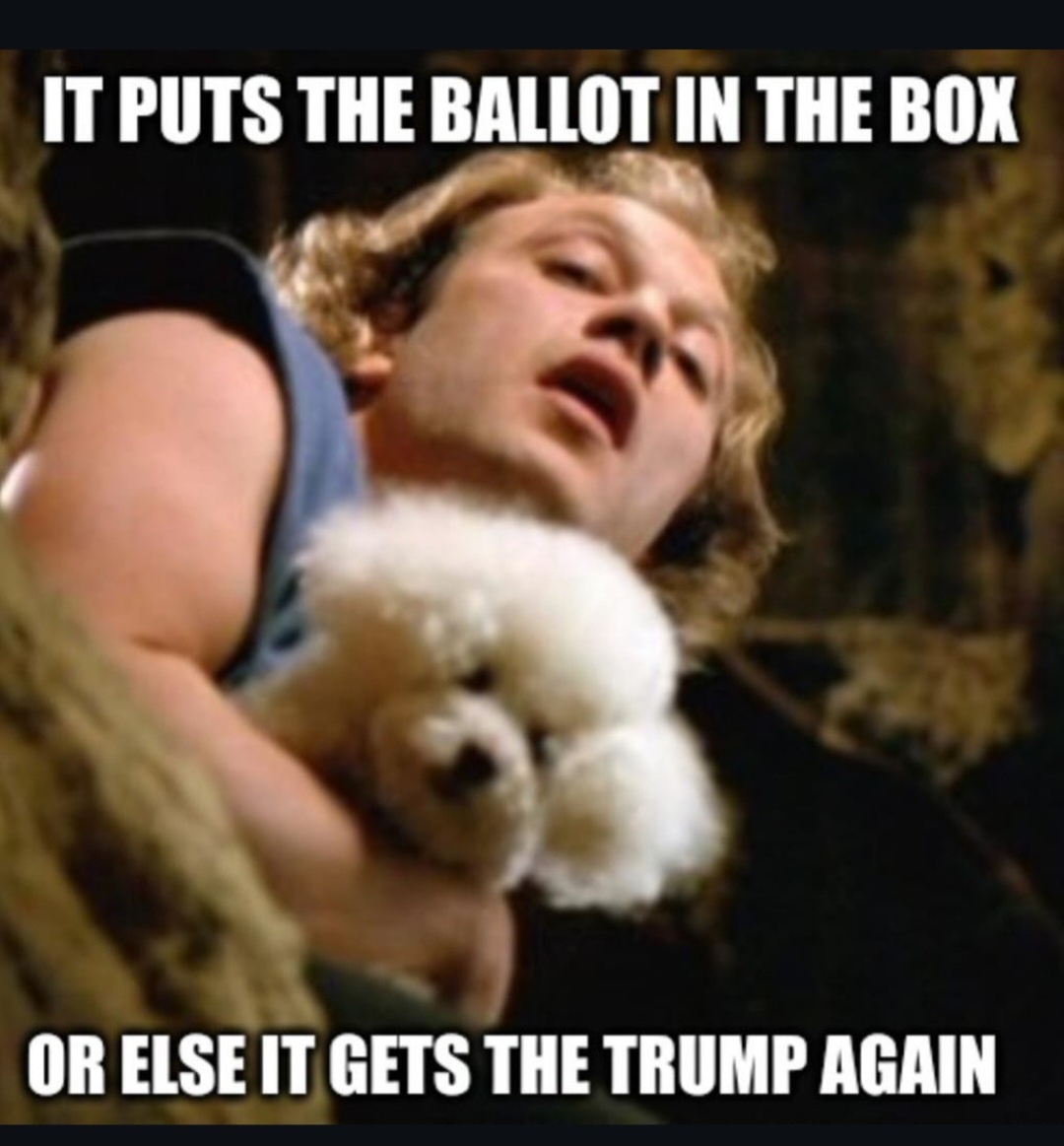 A Friendly Reminder: Vote Like Our Lives Depend on It!