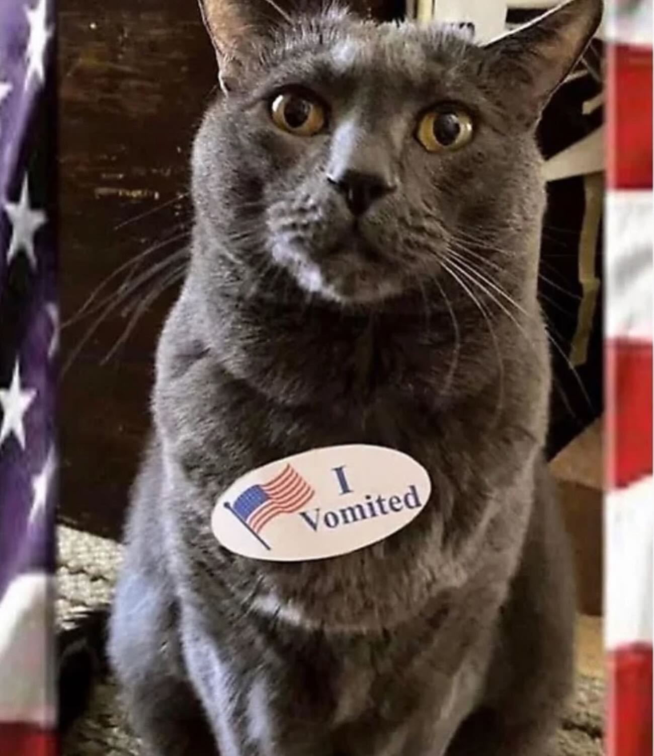 We Feel You, Kitty, We Really Do