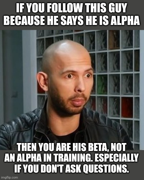 You’re Not an Alpha, Little Buddy