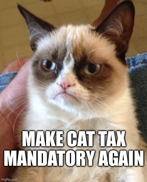 Time to Raise Cat Taxes: A Four-Year Plan!