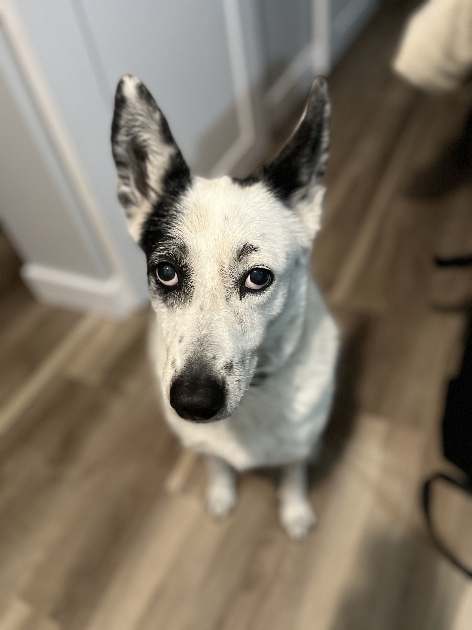 Capturing Moments in Portrait Mode