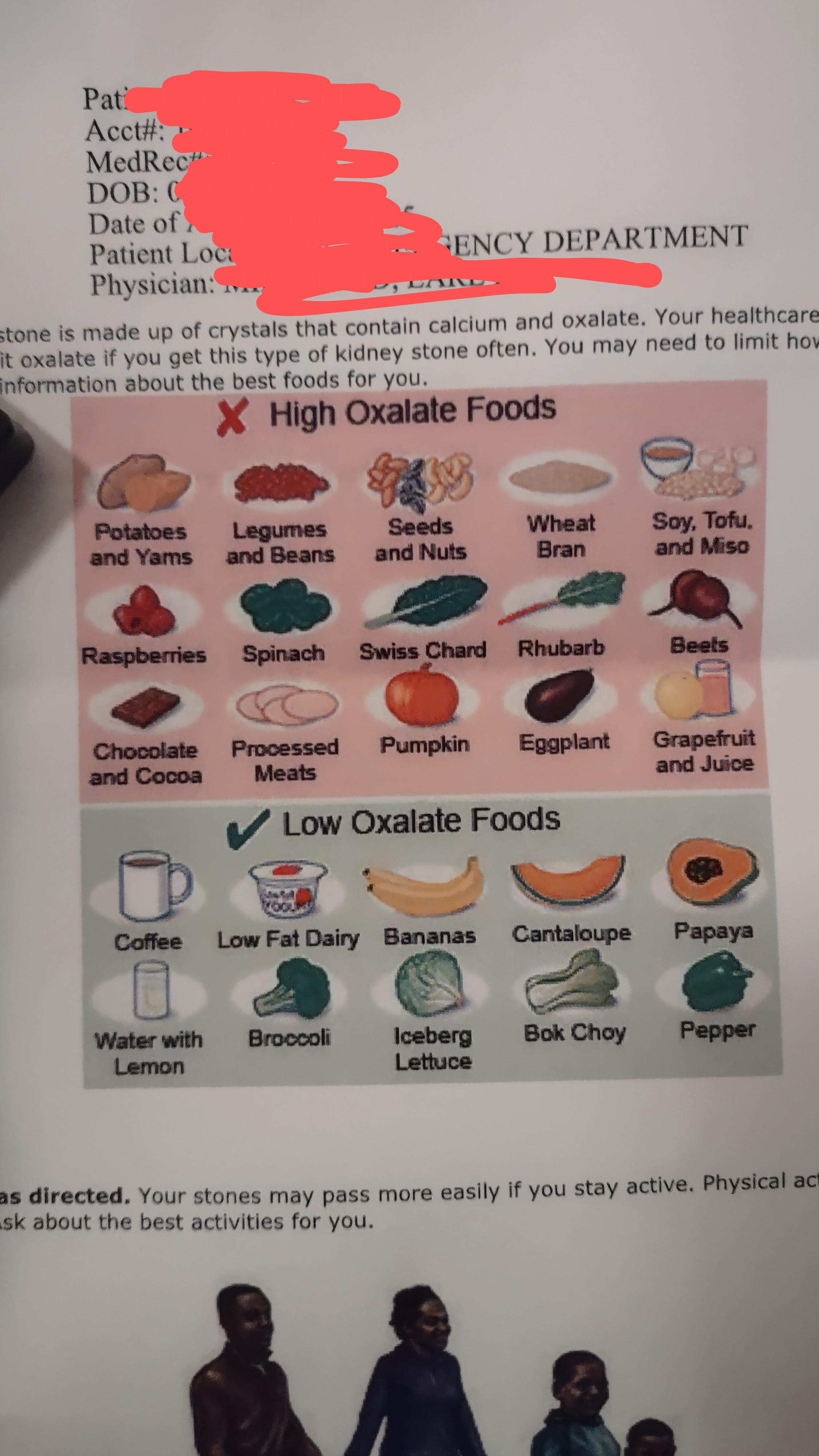 Emergency Room Guide: Understanding Oxalates in Your Food