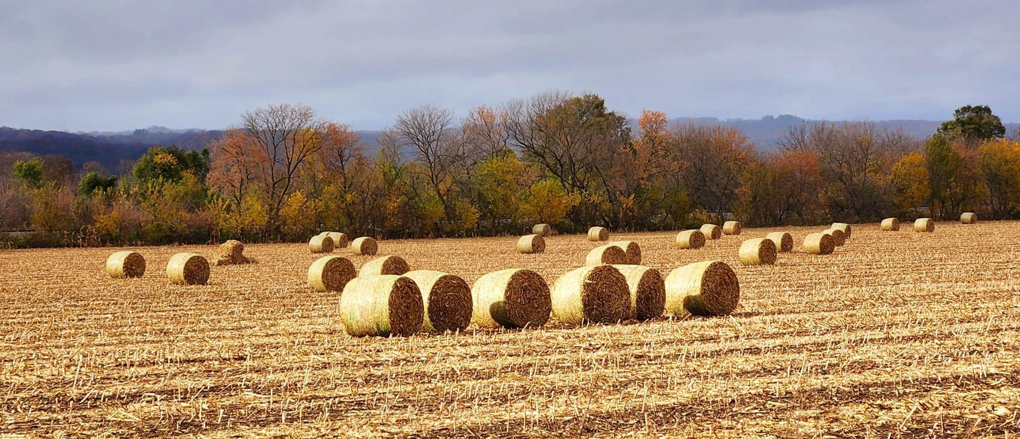 It's Time to Reap the Rewards of Our Labor