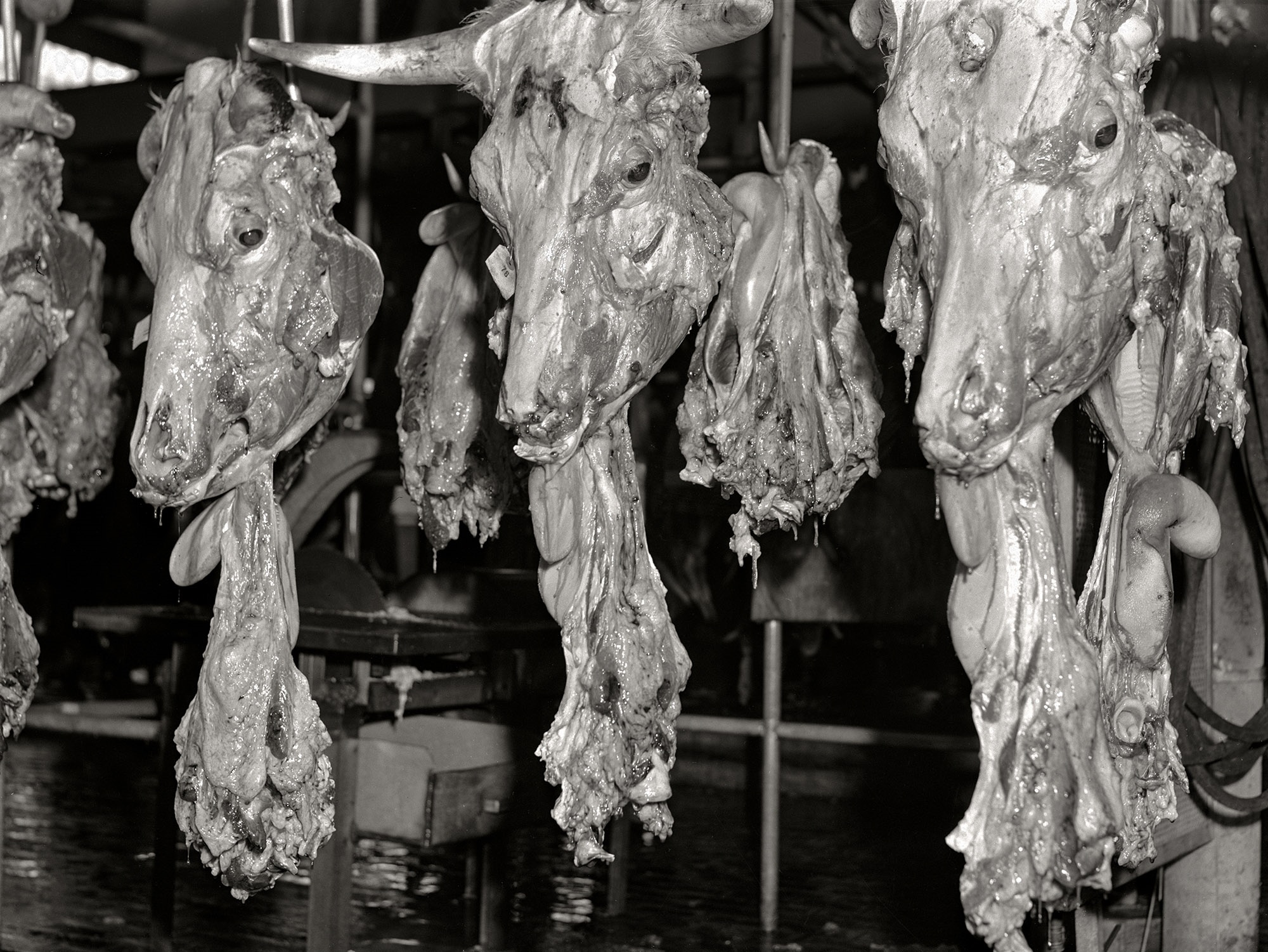 July 1941: Behind the Scenes at Hormel Meat-Packing Plant