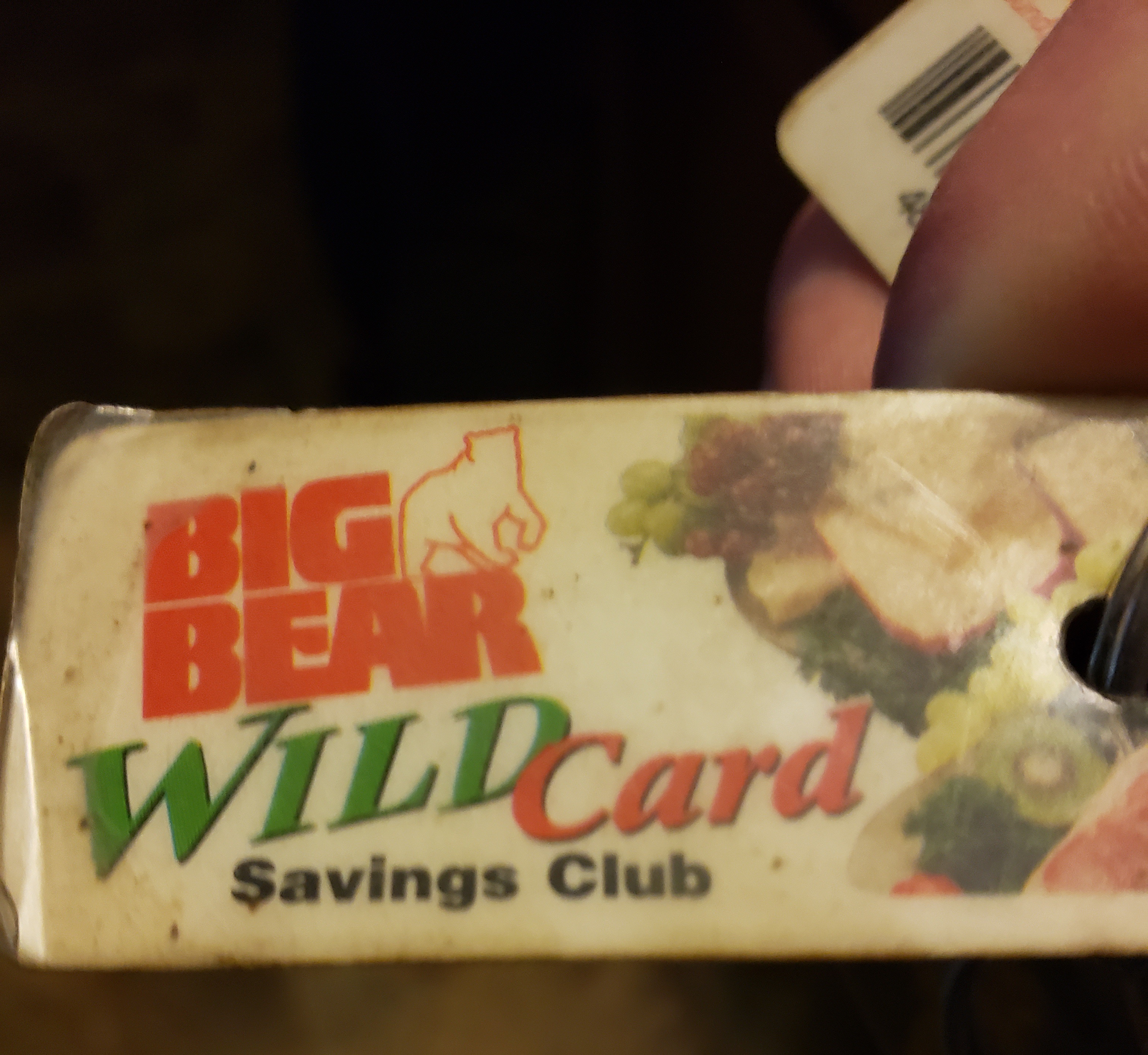 The Exciting Big Bear Wild Card Adventure