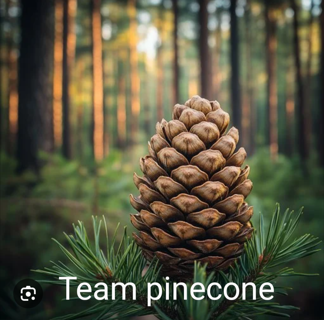 United We Stand: Team Pinecone