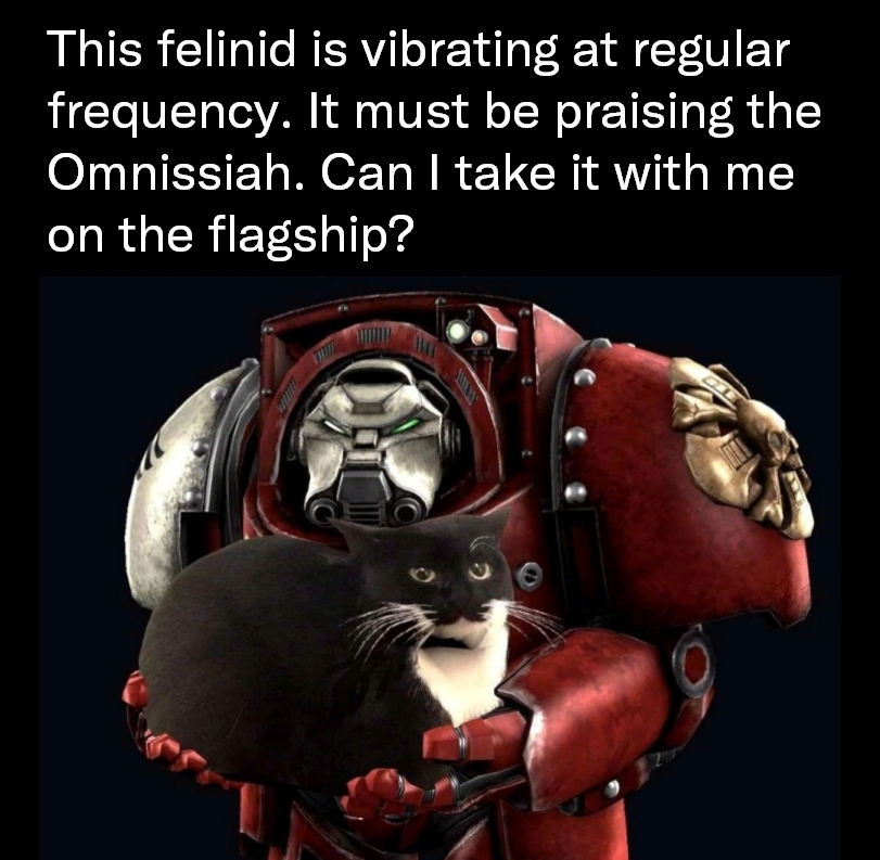 The adorable vibrations of a kitty cat!