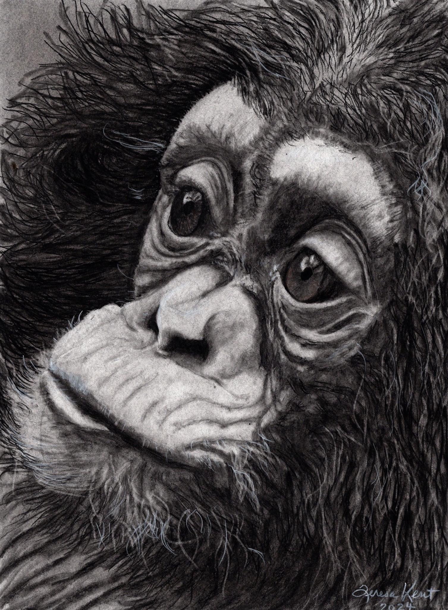 A Captivating Illustration That Speaks Volumes