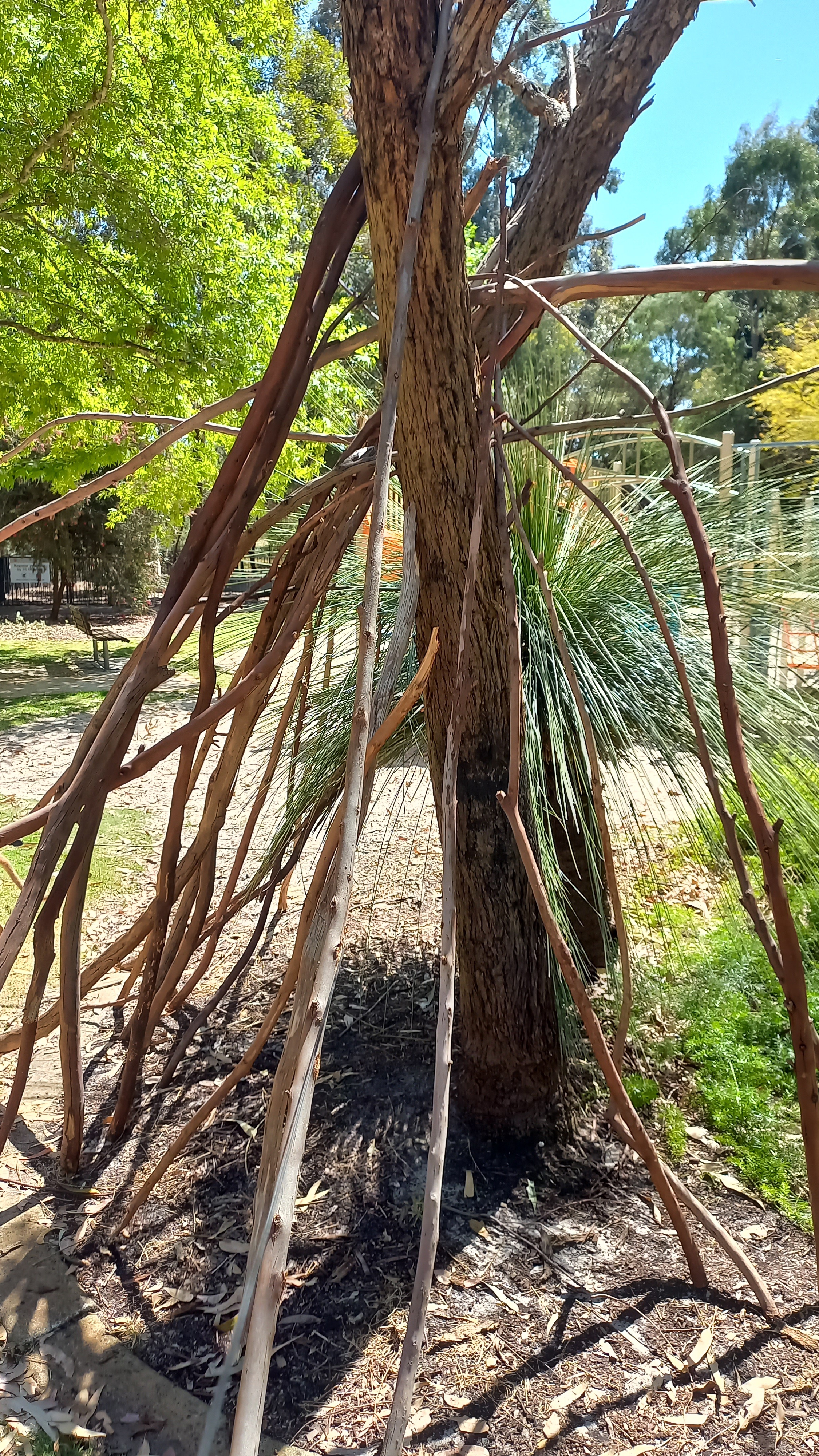 Welcome to the Local Branch Stick Library: A Unique Collection