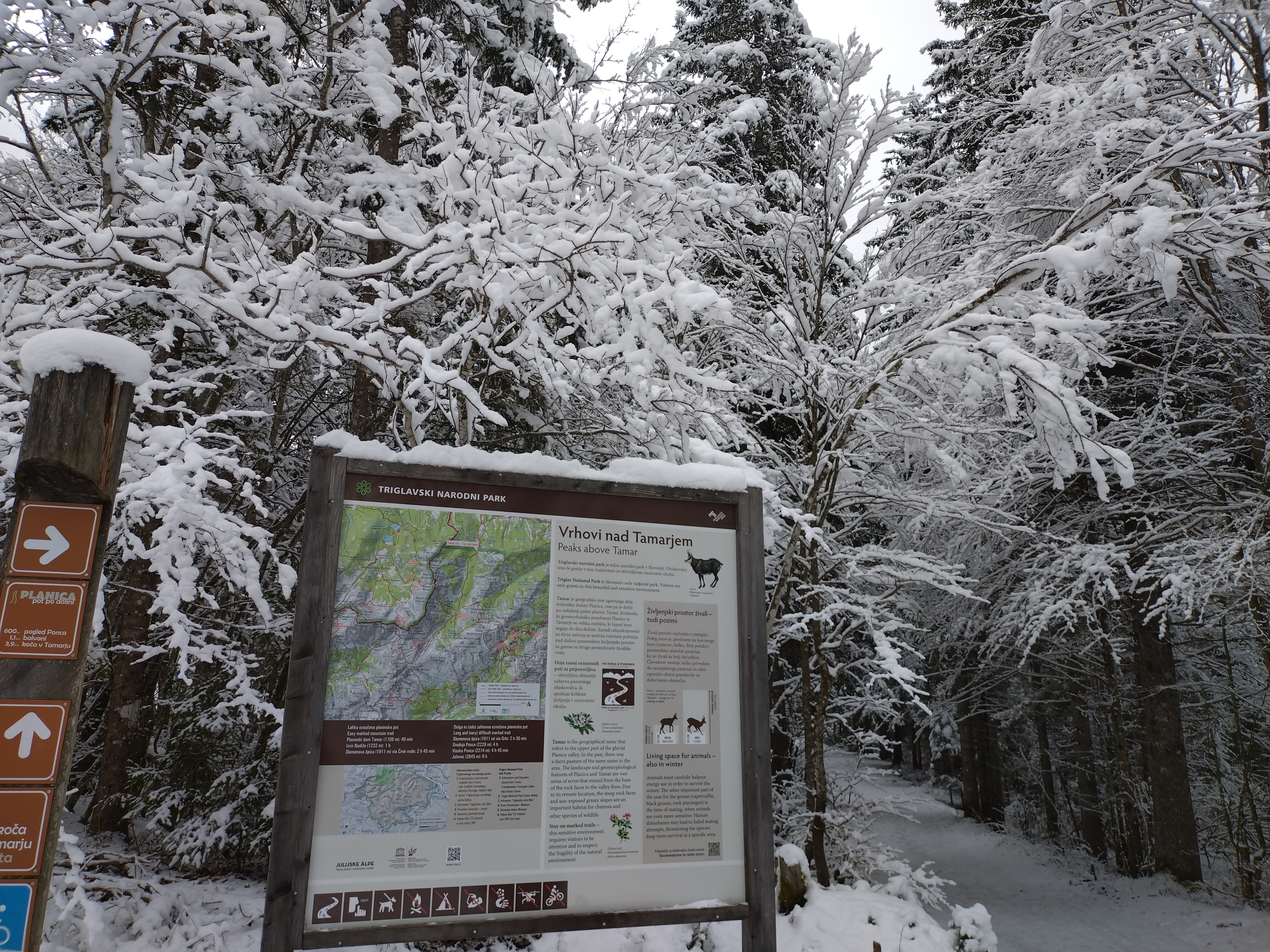 A Winter Wonderland in Triglav National Park